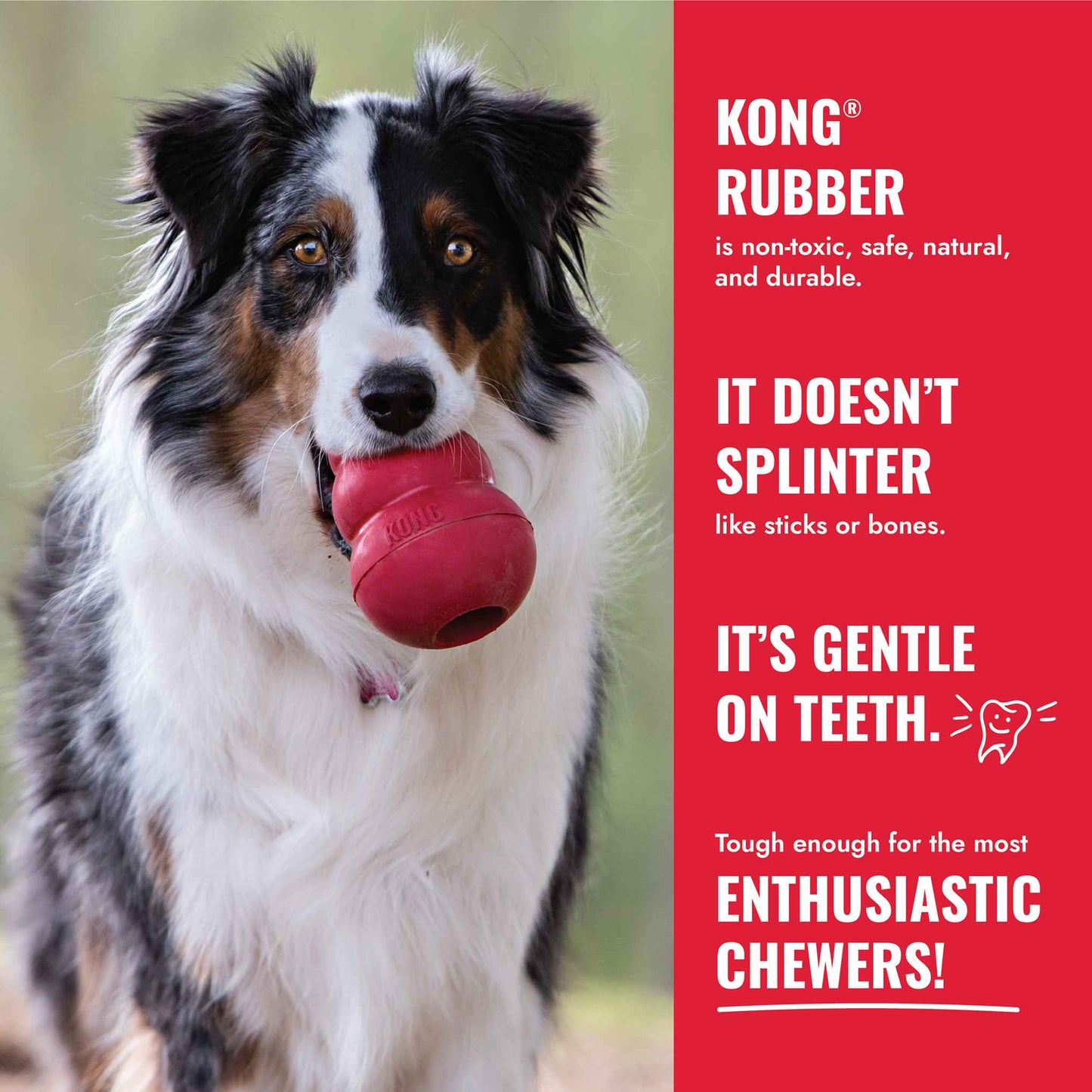 KONG Holiday Goodie Bone Dog Toy - Medium