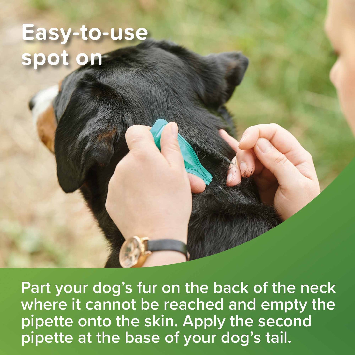 Beaphar VETOpure Plant-Based Flea Spot-On for Dogs over 15kg - 6 Pipettes