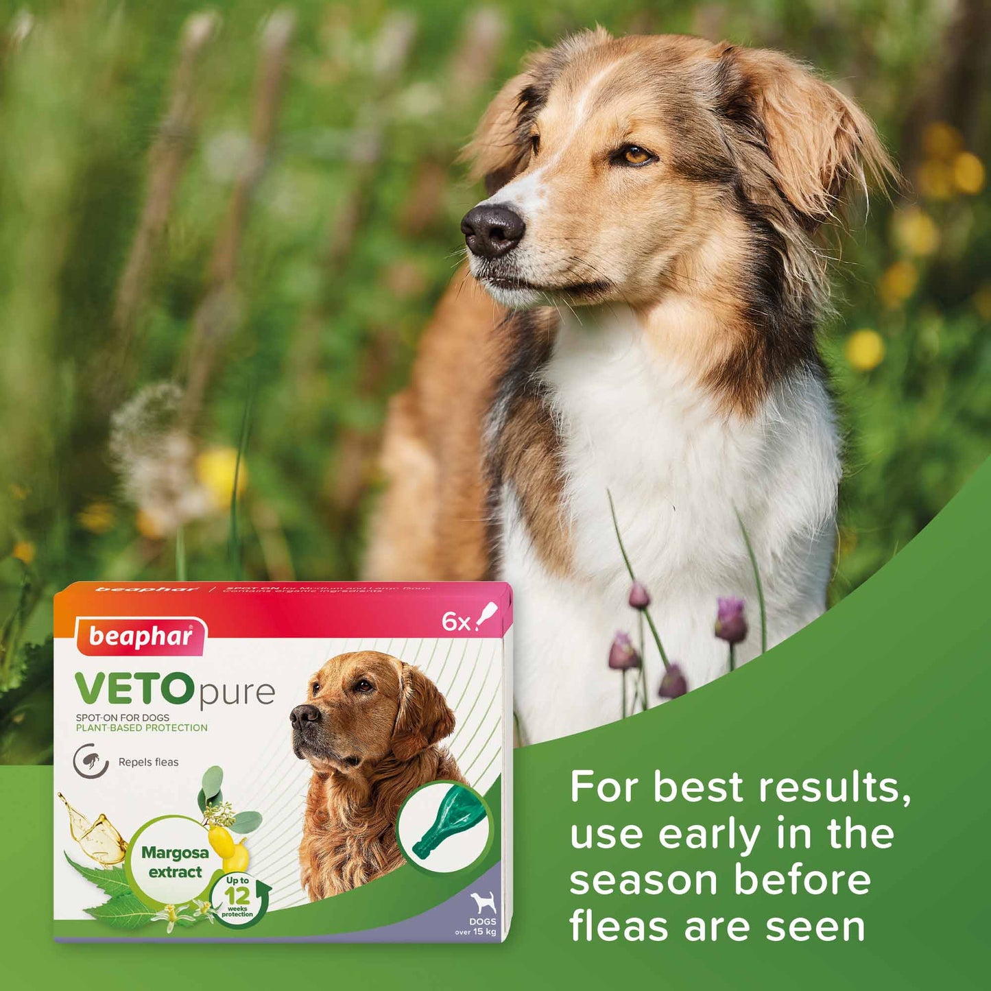 Beaphar VETOpure Plant-Based Flea Spot-On for Dogs over 15kg - 6 Pipettes