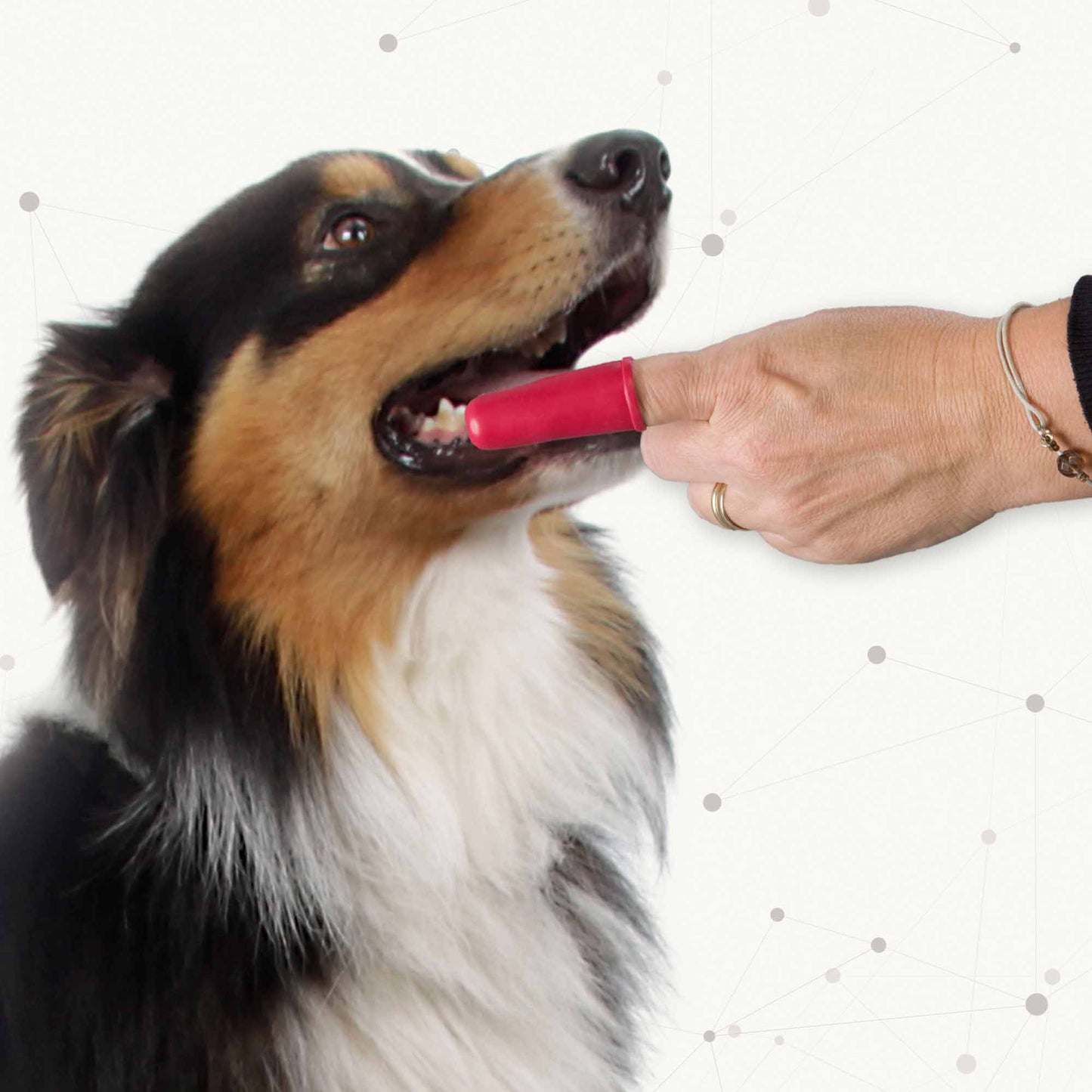 Beaphar Finger Toothbrush for Cats & Dogs