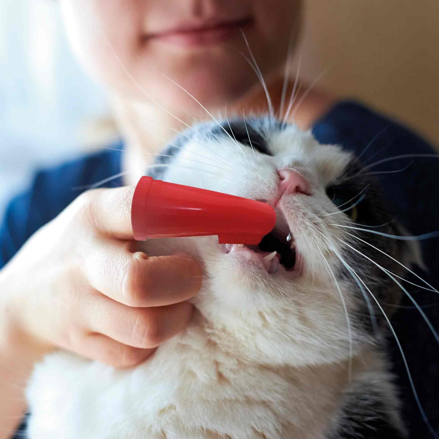 Beaphar Finger Toothbrush for Cats & Dogs