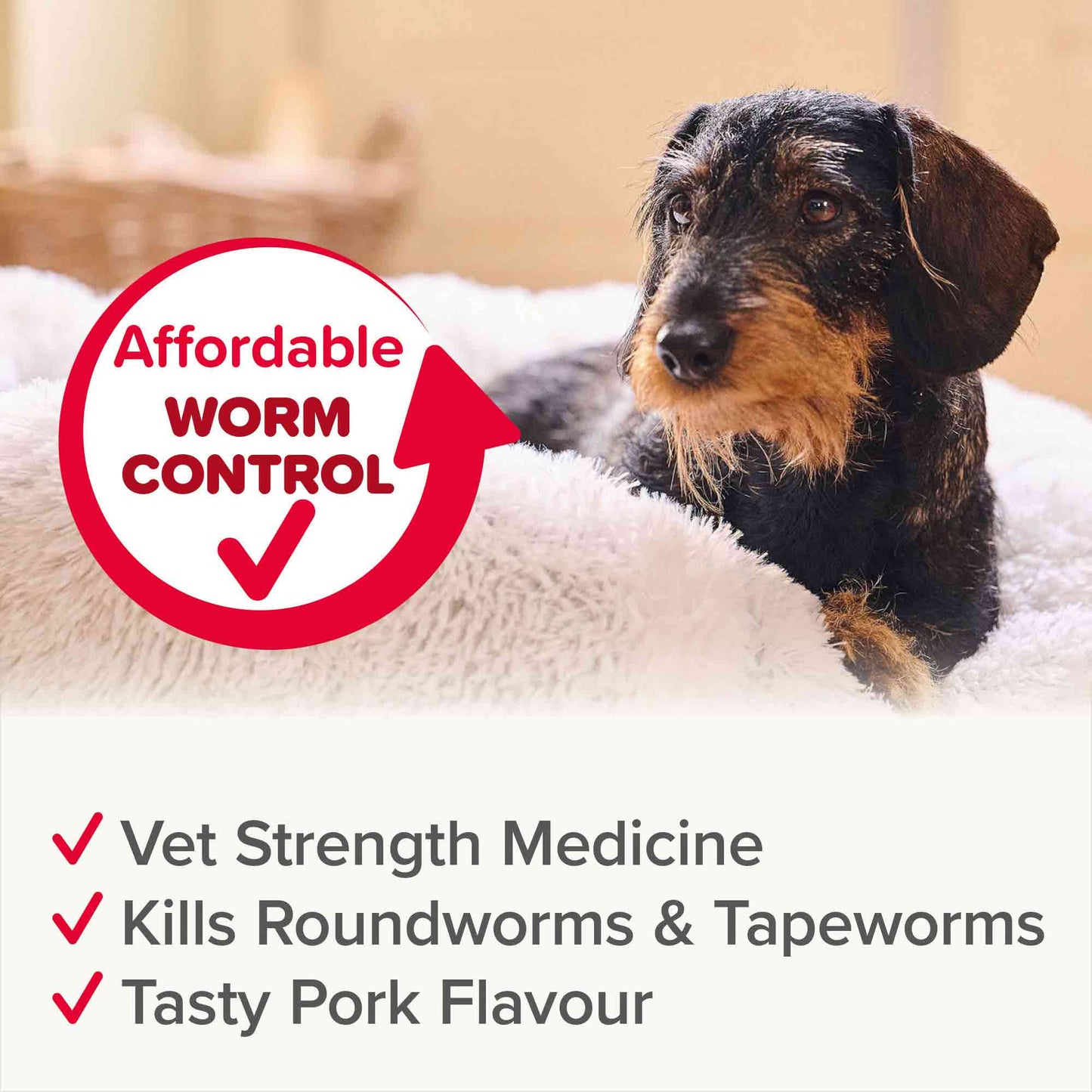 Beaphar WORMclear for Dogs - Small Breed Up to 20kg