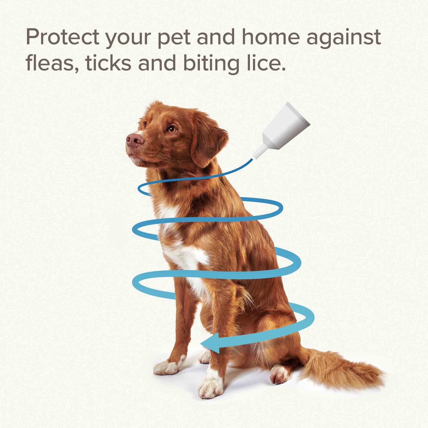 Beaphar FIPROtec COMBO Flea & Tick Spot-On for Dogs - 2-10kg