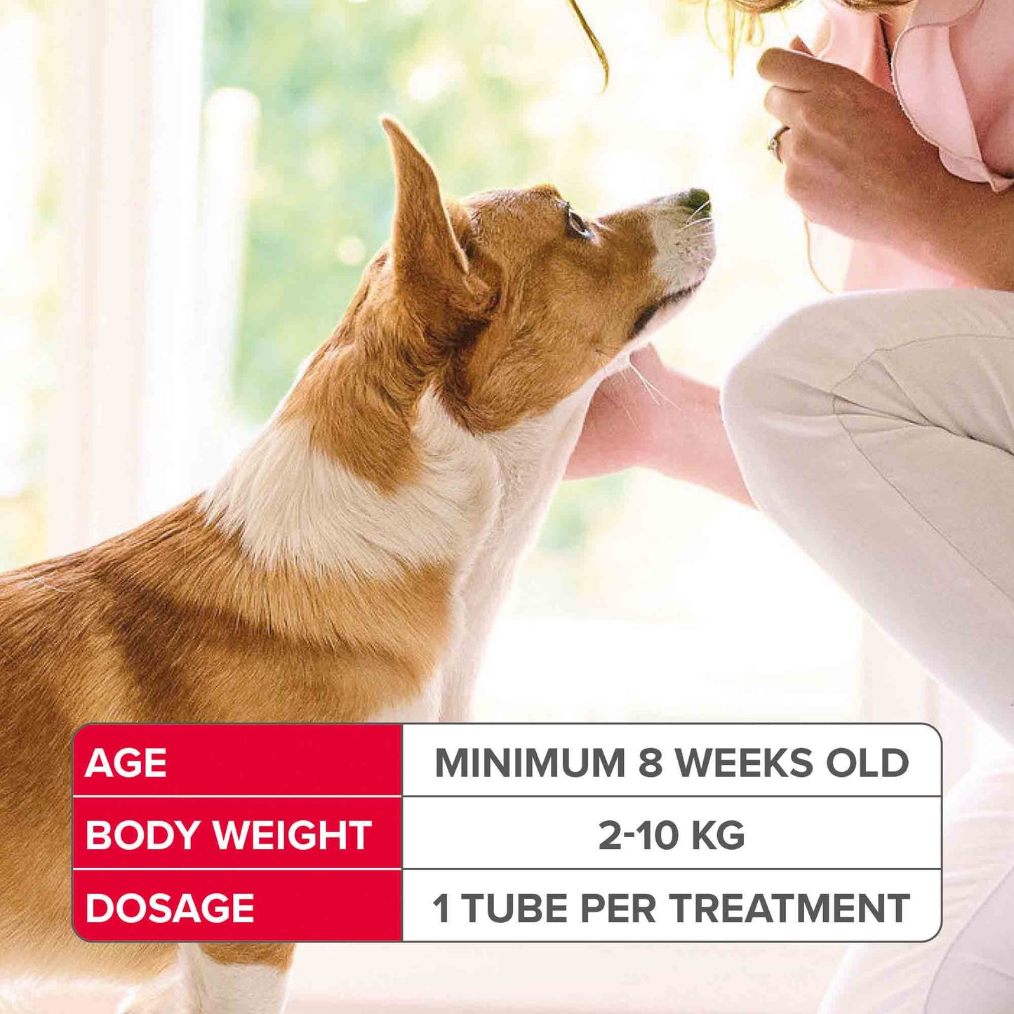Beaphar FIPROtec COMBO Flea & Tick Spot-On for Dogs - 2-10kg