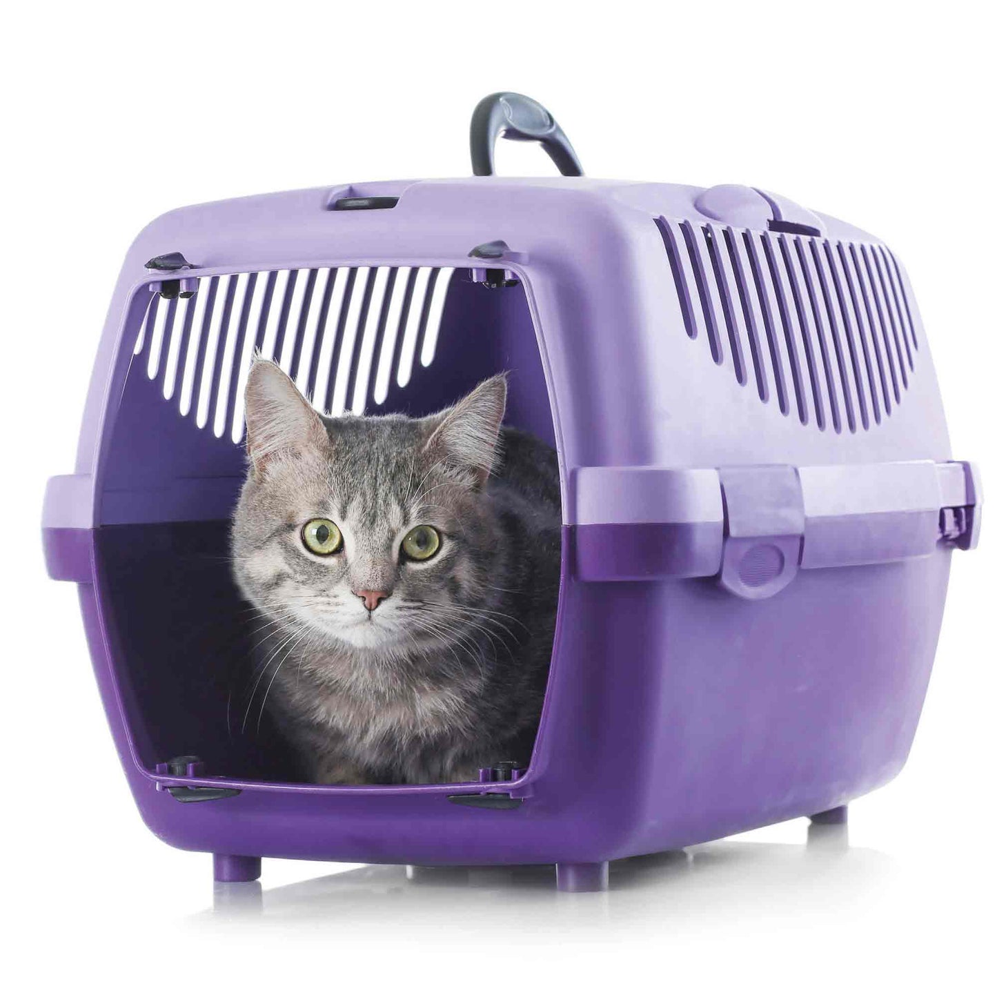 Beaphar CatComfort Calming Spray for Cats - 30ml