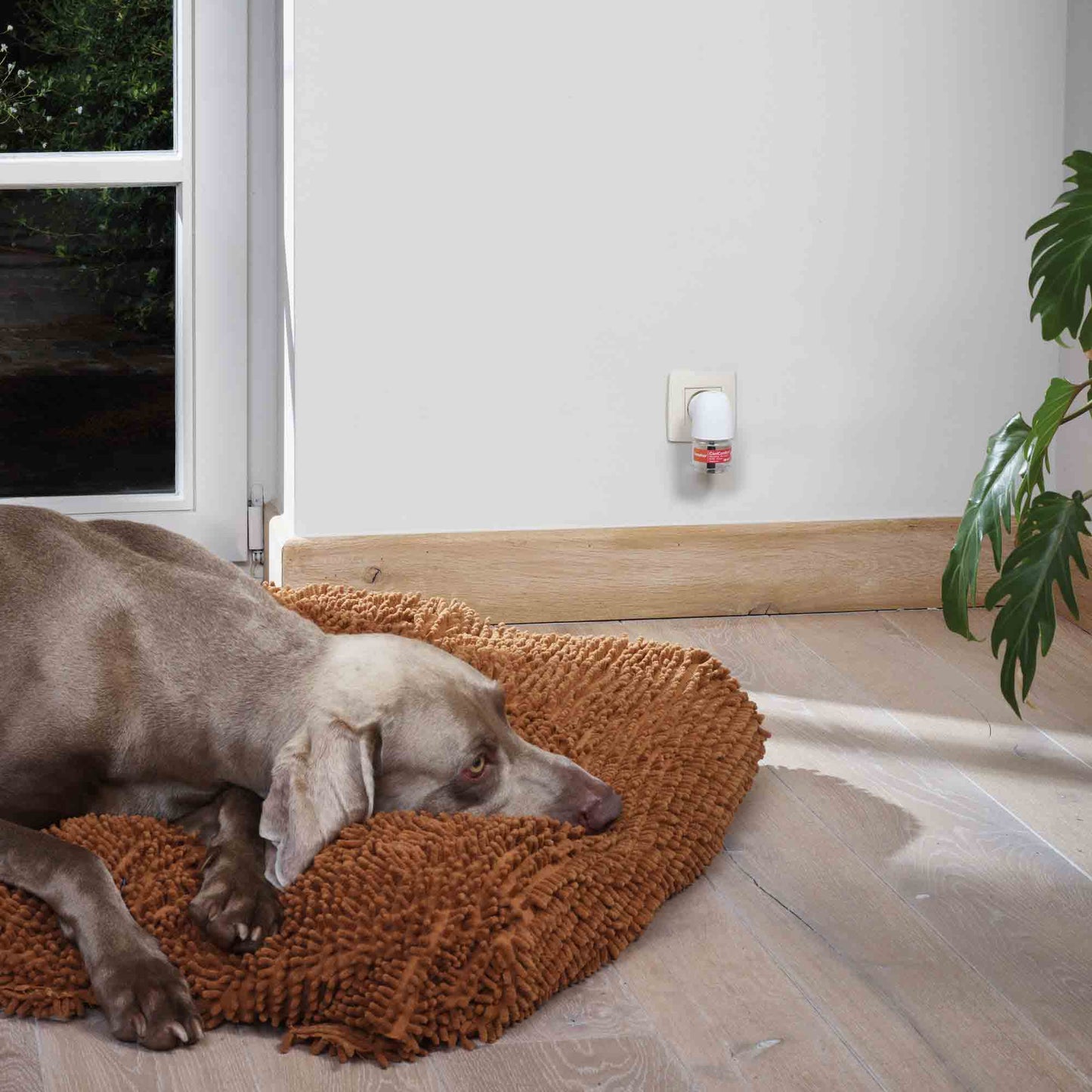 Beaphar CaniComfort Calming Diffuser Refill for Dogs