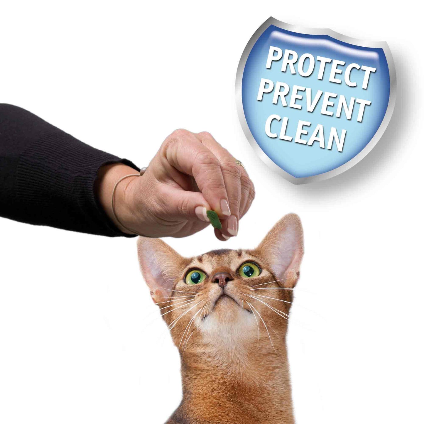 Beaphar Dental Easy Treat for Cats - 35g