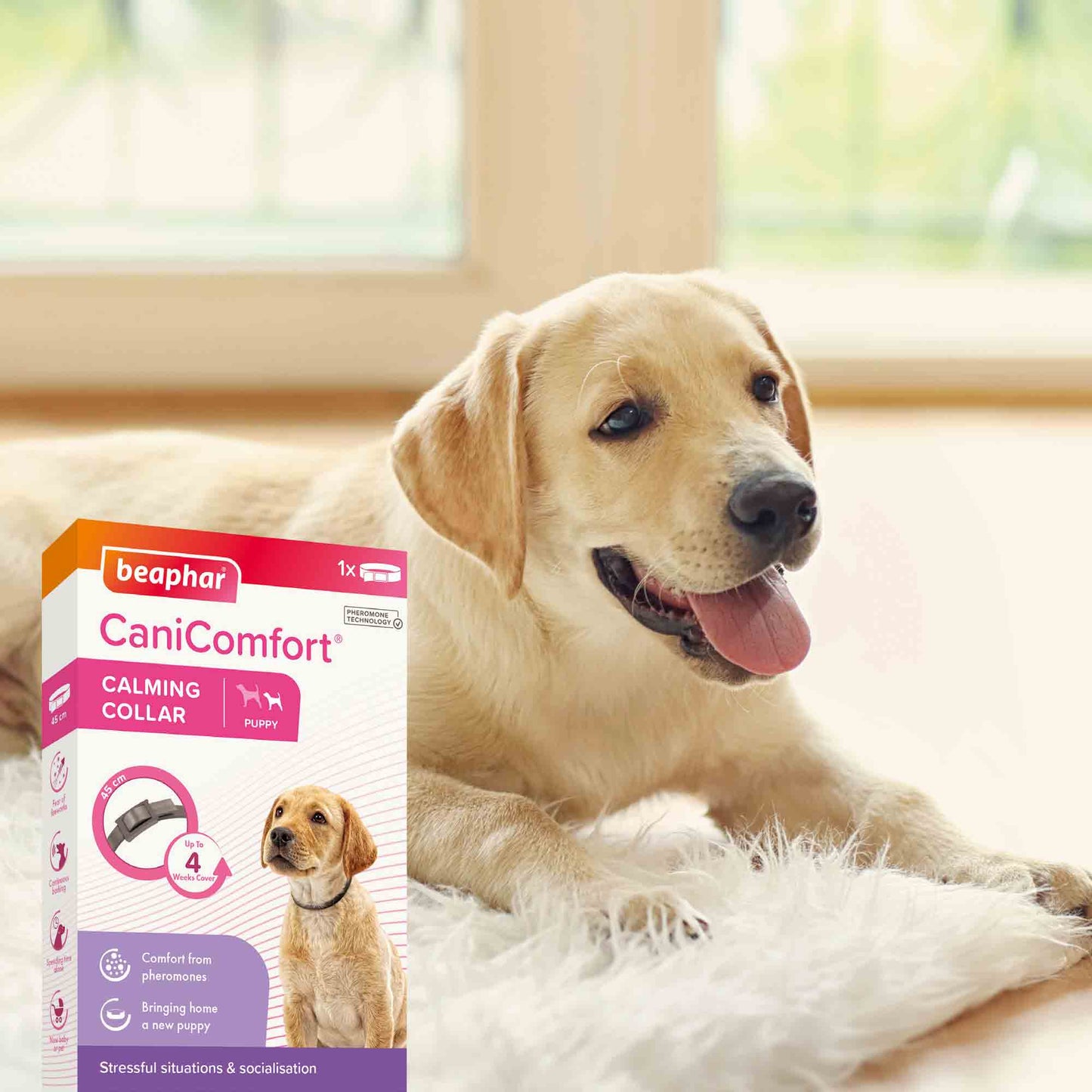 Beaphar CaniComfort Calming Collar for Puppies