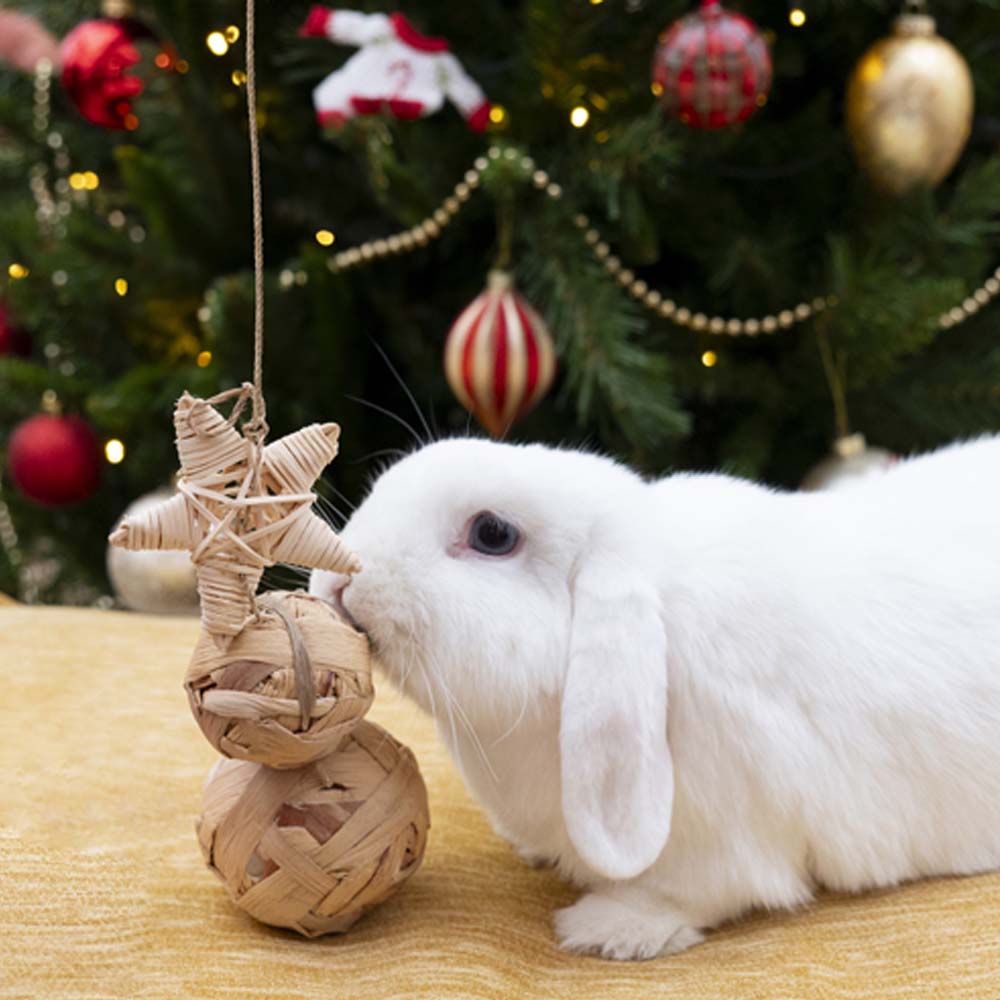 Rosewood Cupid & Comet Water Hyacinth Trio Toy for Small Animals