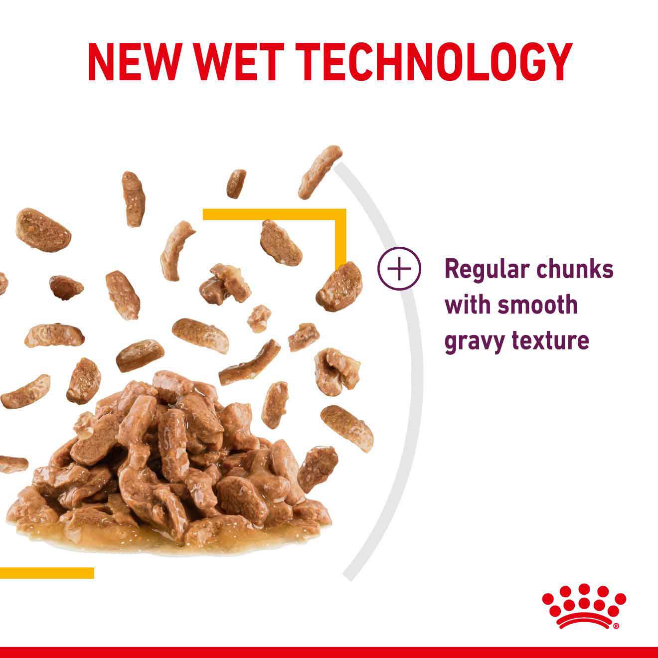 Royal Canin Feline Health Nutrition Sensory Smell in Jelly Wet Cat Food - 12x85g Pouches