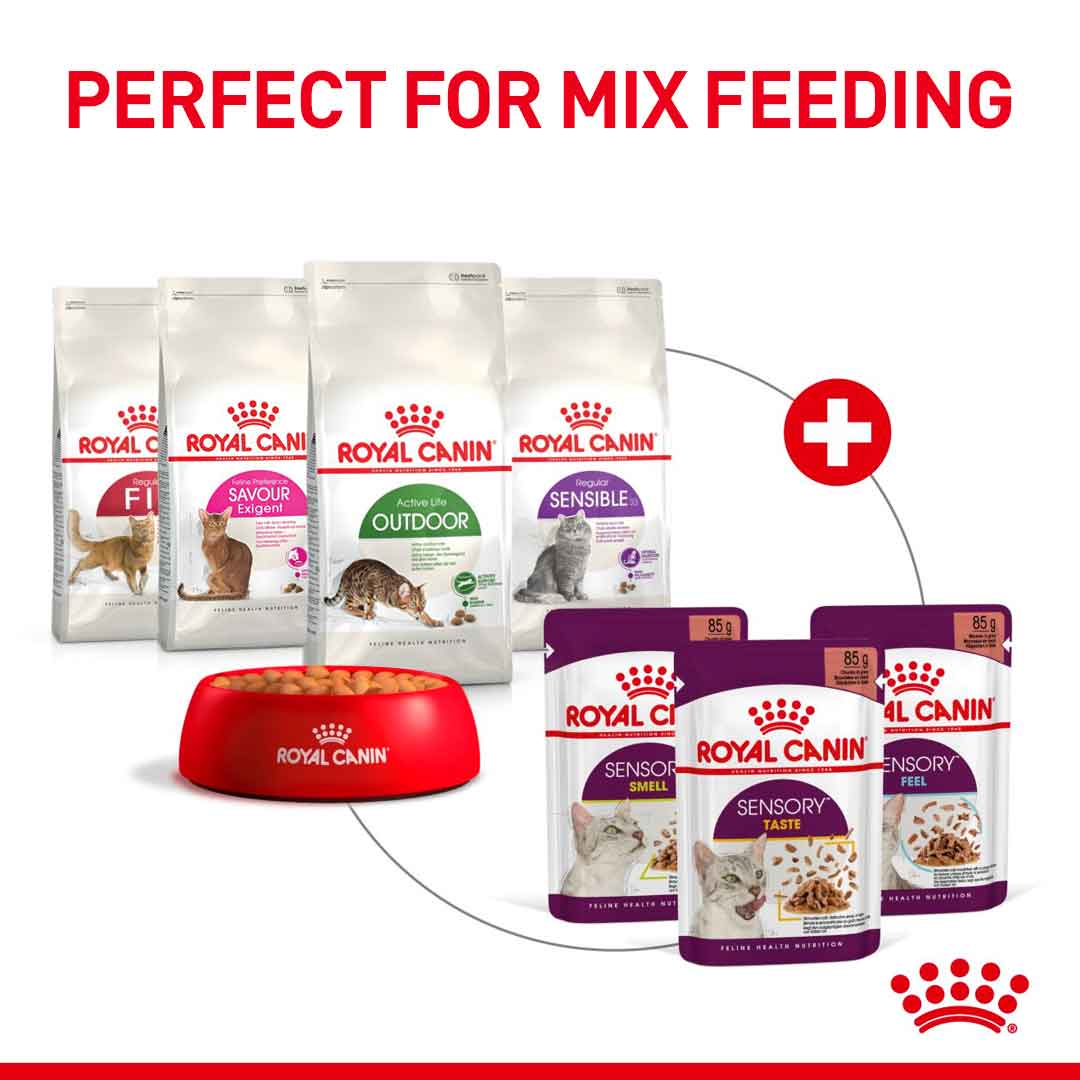 Royal Canin Feline Health Nutrition Sensory Feel in Jelly Wet Cat Food - 12x85g Pouches