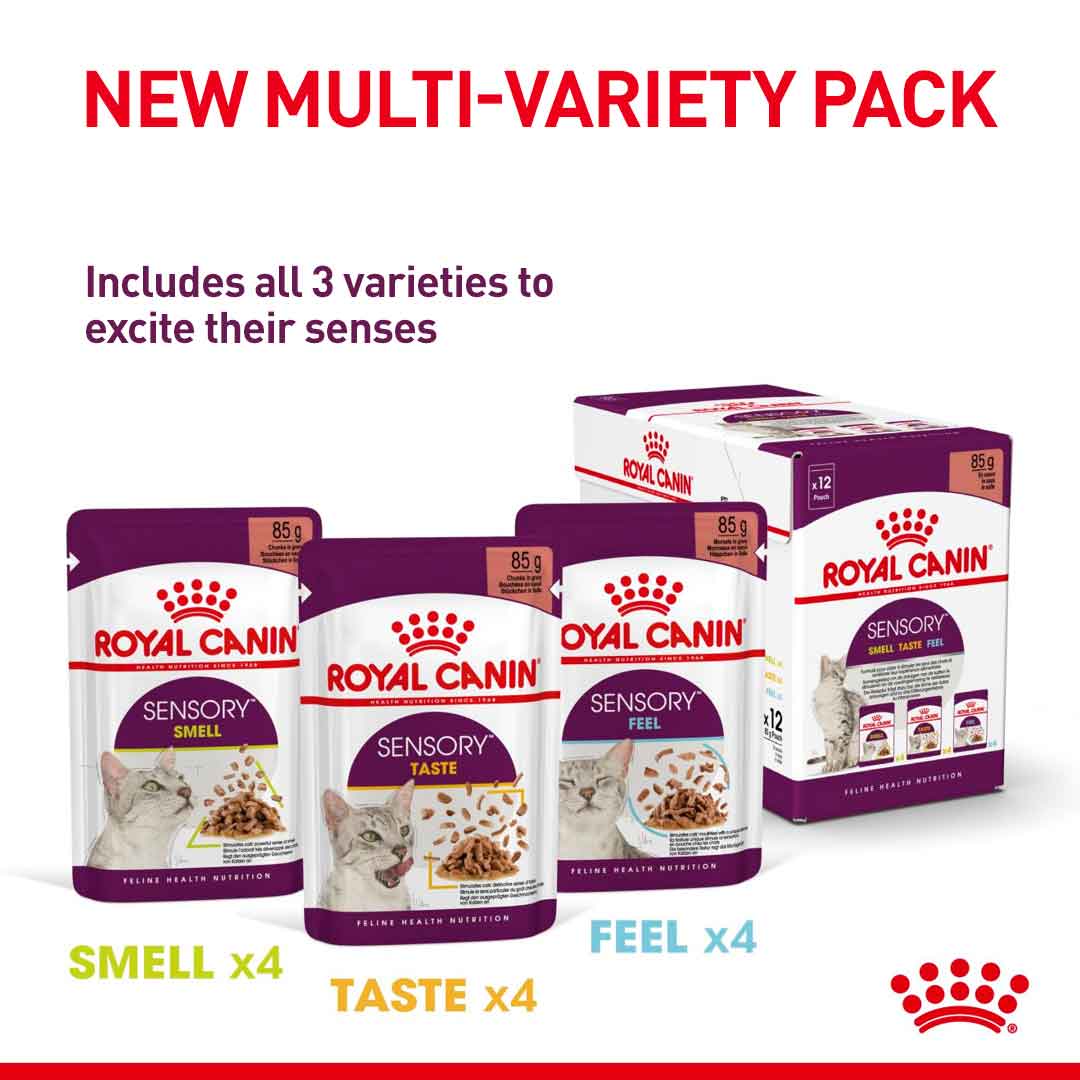 Royal Canin Feline Health Nutrition Sensory Feel in Jelly Wet Cat Food - 12x85g Pouches