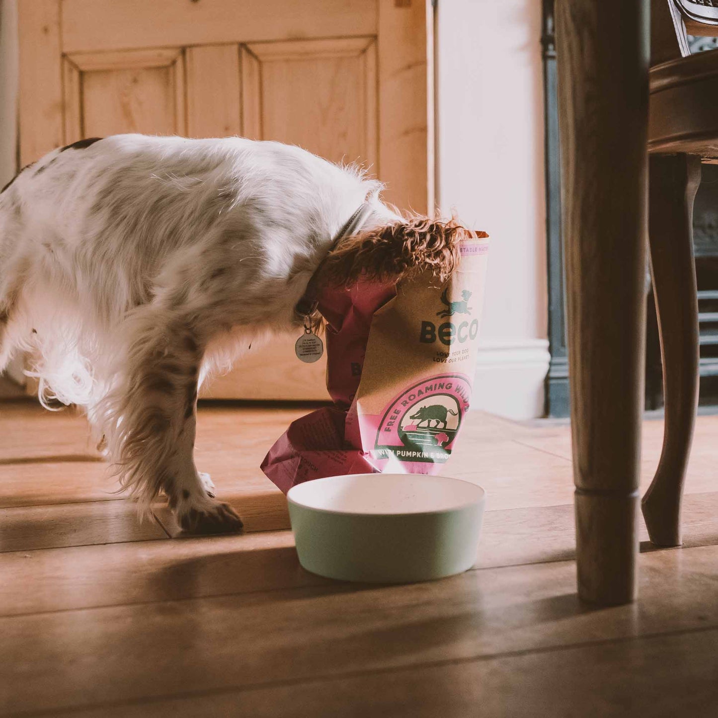Beco Wild Boar Adult Dry Dog Food