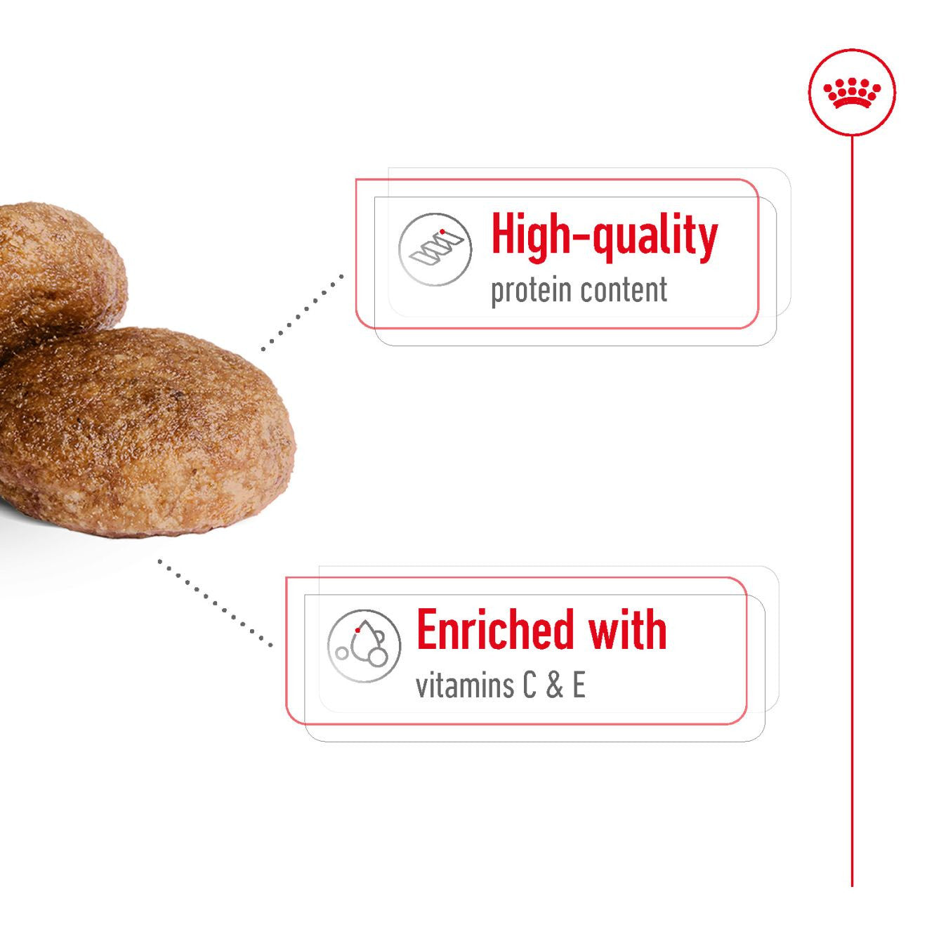 Royal Canin Size Health Nutrition Medium 7+ Mature Dry Dog Food