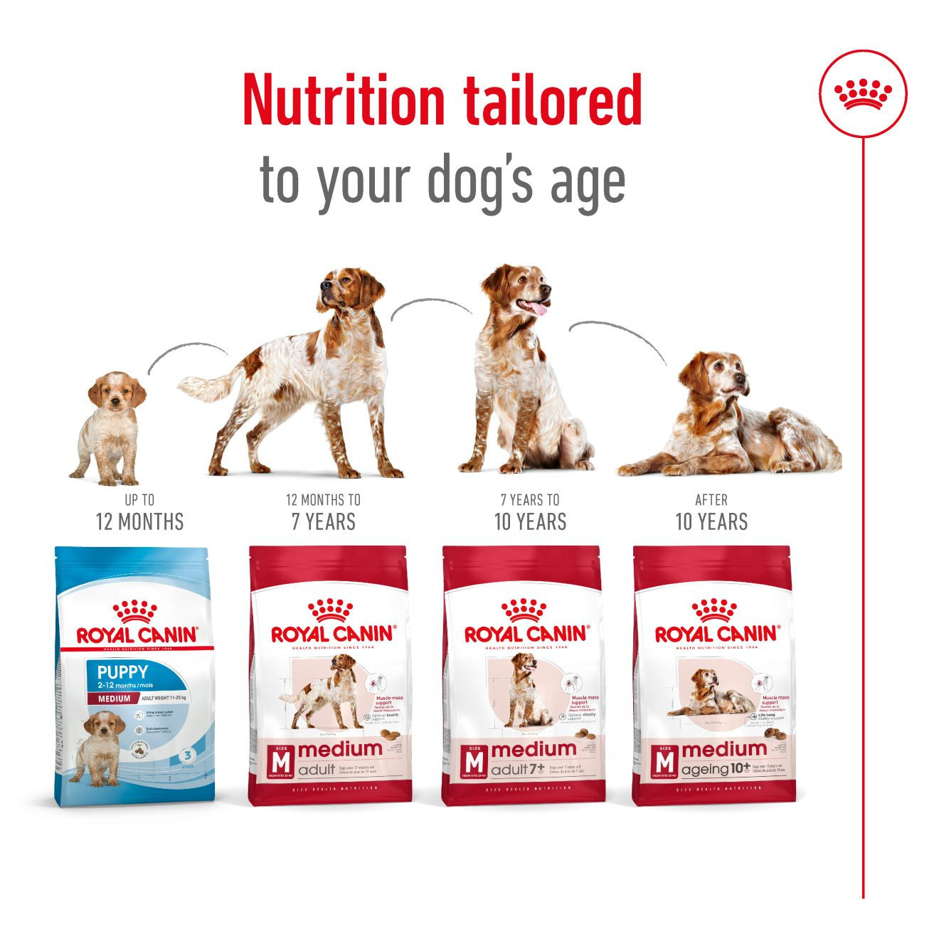 Royal Canin Size Health Nutrition Medium 7+ Mature Dry Dog Food