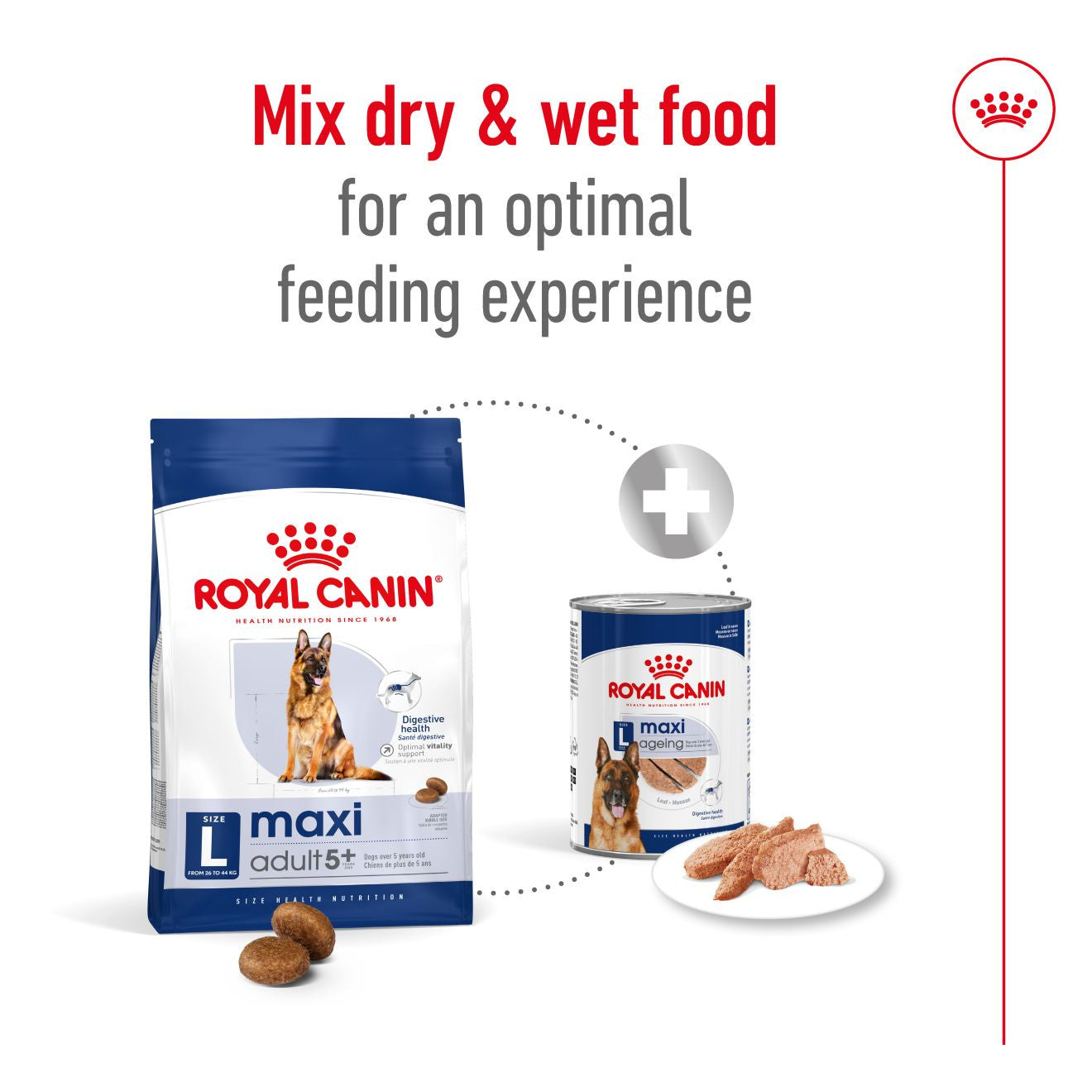 Royal Canin Size Health Nutrition Maxi Adult 5+ Dry Dog Food