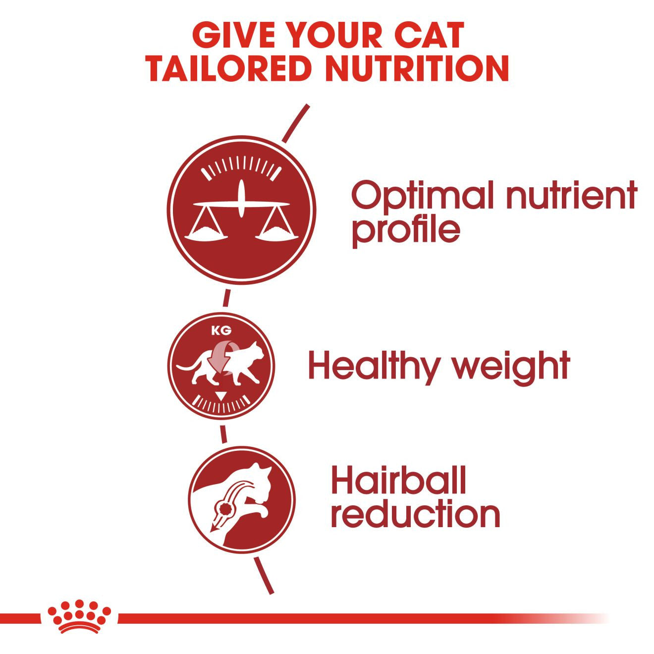 ROYAL CANIN Regular Fit 32 Adult Dry Cat Food
