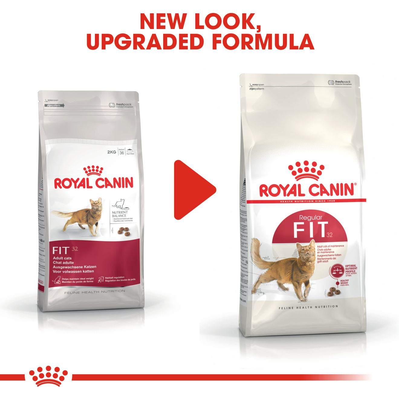 ROYAL CANIN Regular Fit 32 Adult Dry Cat Food