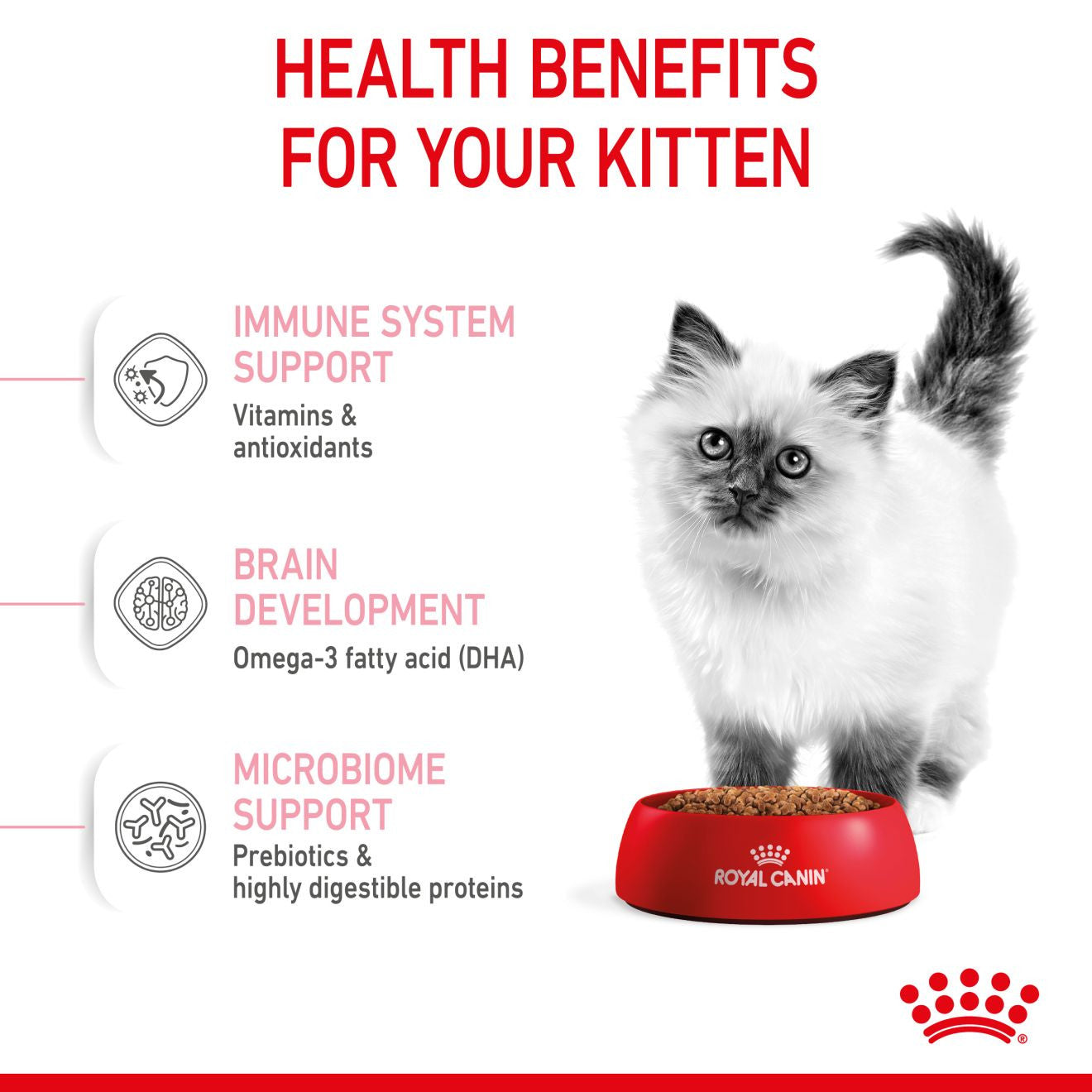 Royal Canin Feline Health Nutrition Dry Kitten Food