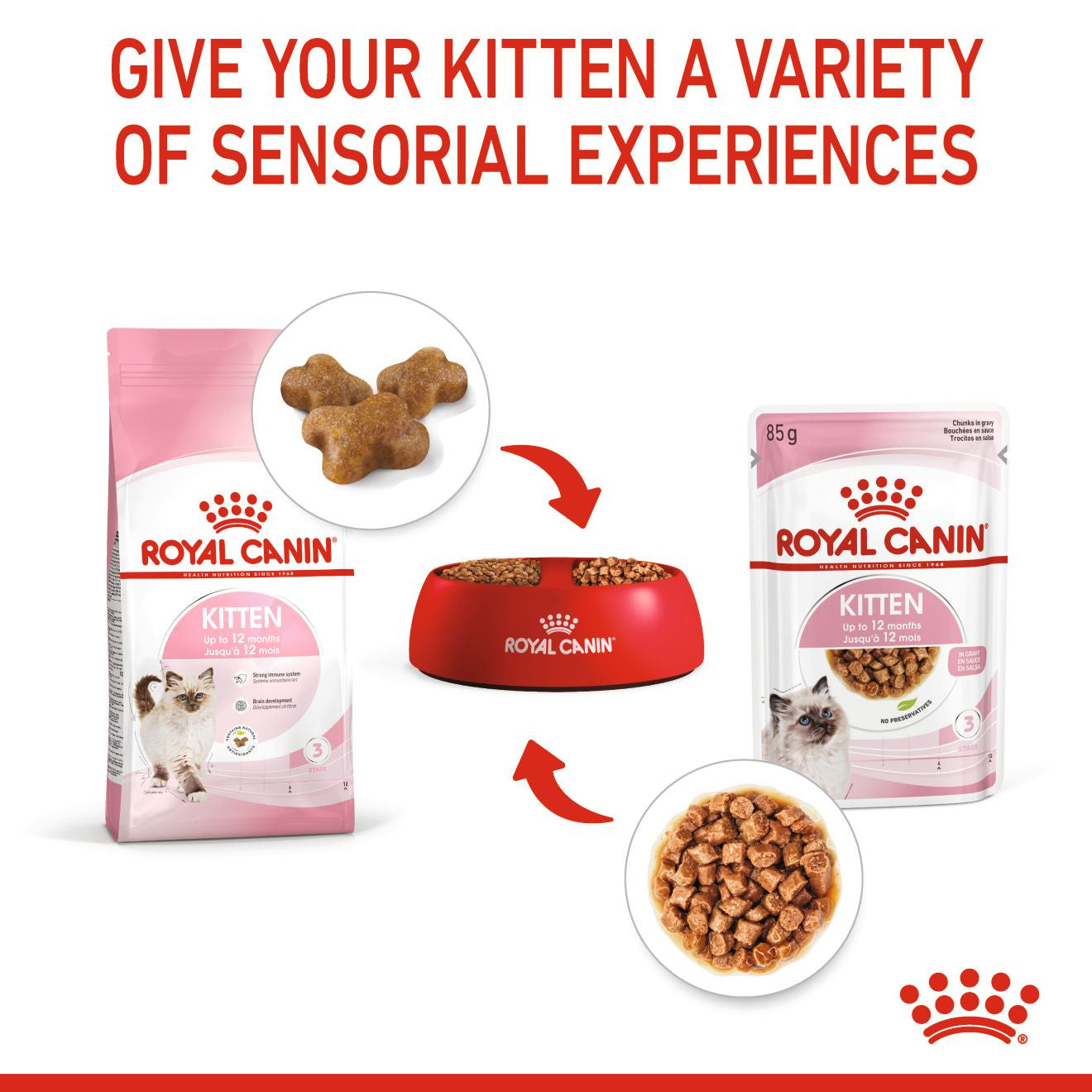 Royal Canin Feline Health Nutrition Dry Kitten Food