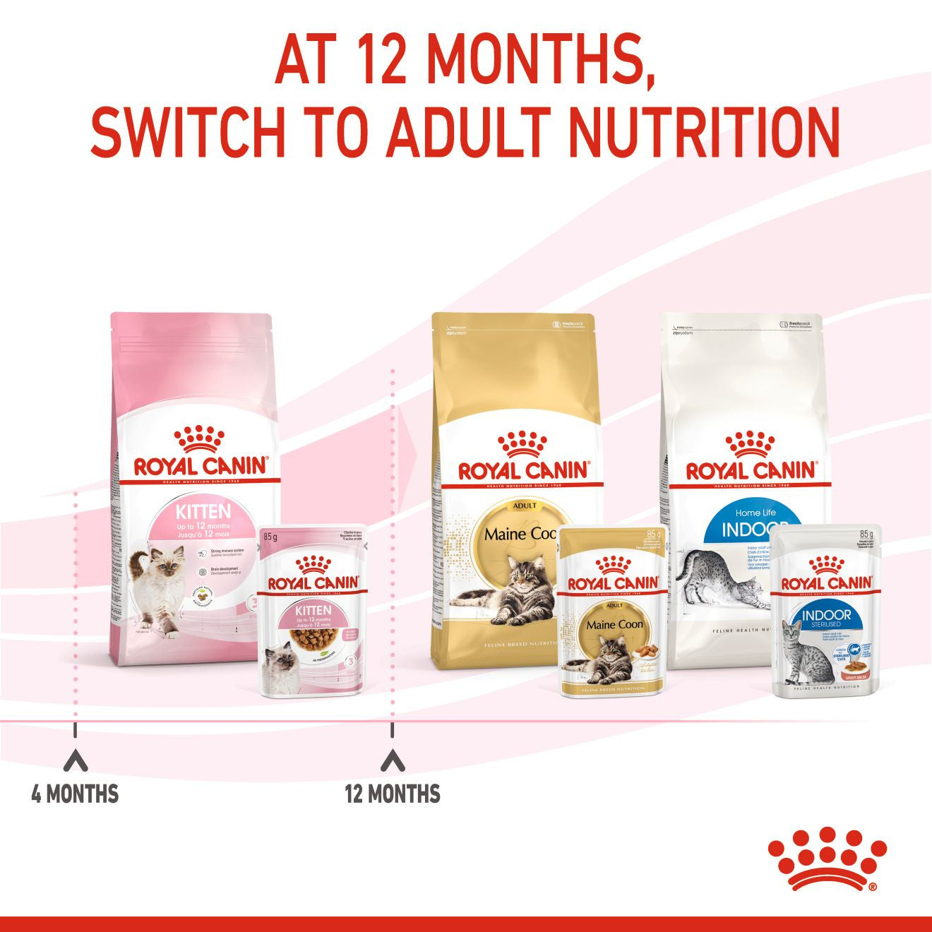 Royal Canin Feline Health Nutrition Dry Kitten Food