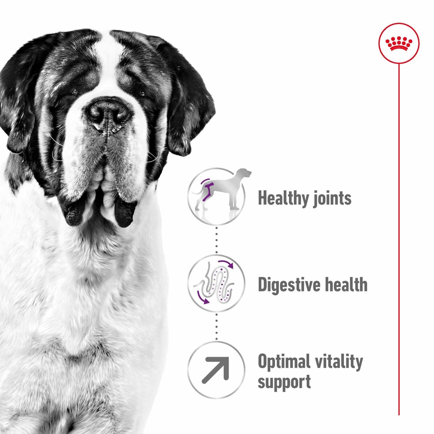 Royal Canin Size Health Nutrition Giant Adult Dry Dog Food
