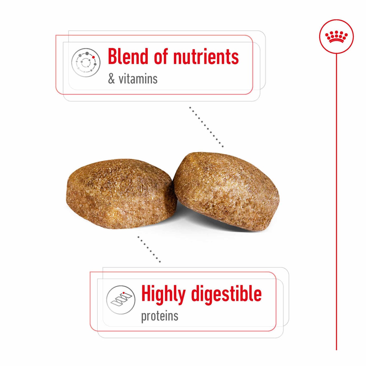 Royal Canin Size Health Nutrition Giant Adult Dry Dog Food