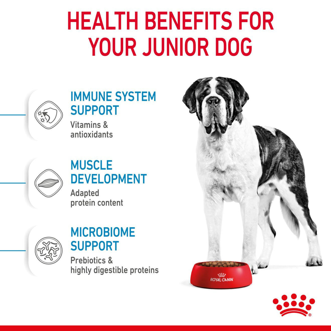 Royal Canin Size Health Nutrition Giant Junior Dry Dog Food