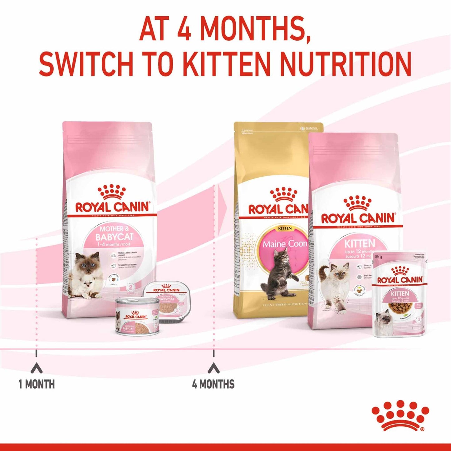 ROYAL CANIN Feline Health Nutrition Mother & Babycat Adult & Kitten Dry Food