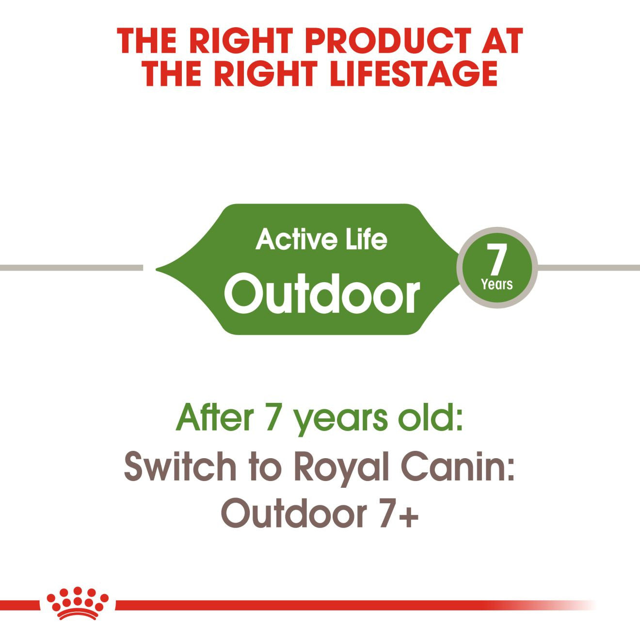 ROYAL CANIN Outdoor Dry Adult Cat Food