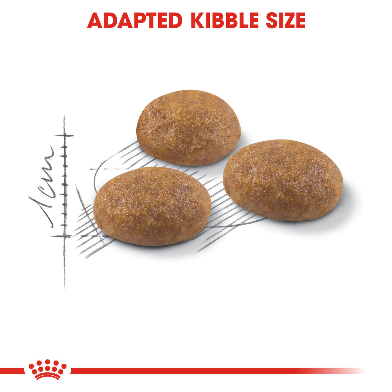 ROYAL CANIN Outdoor Dry Adult Cat Food