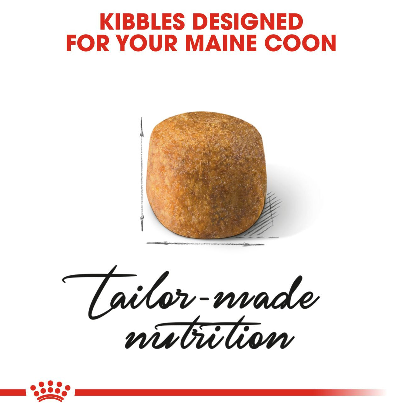 Royal Canin Breed Health Nutrition Maine Coon Adult Dry Cat Food
