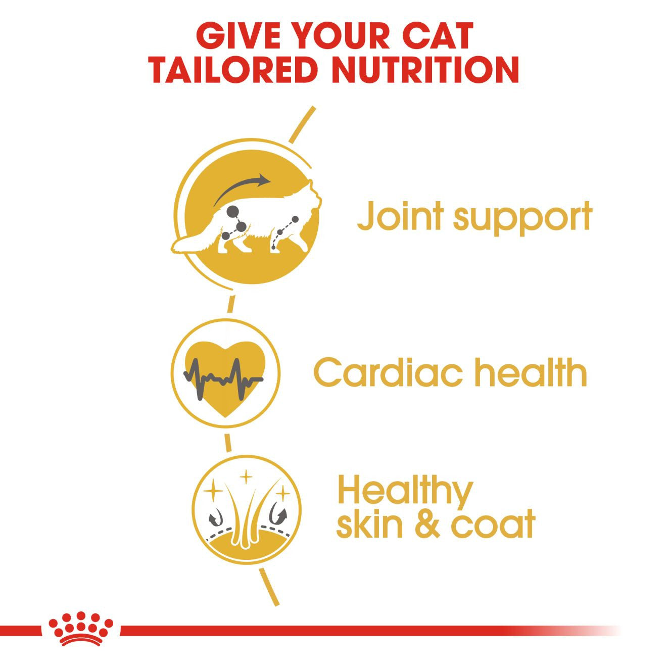 Royal Canin Breed Health Nutrition Maine Coon Adult Dry Cat Food
