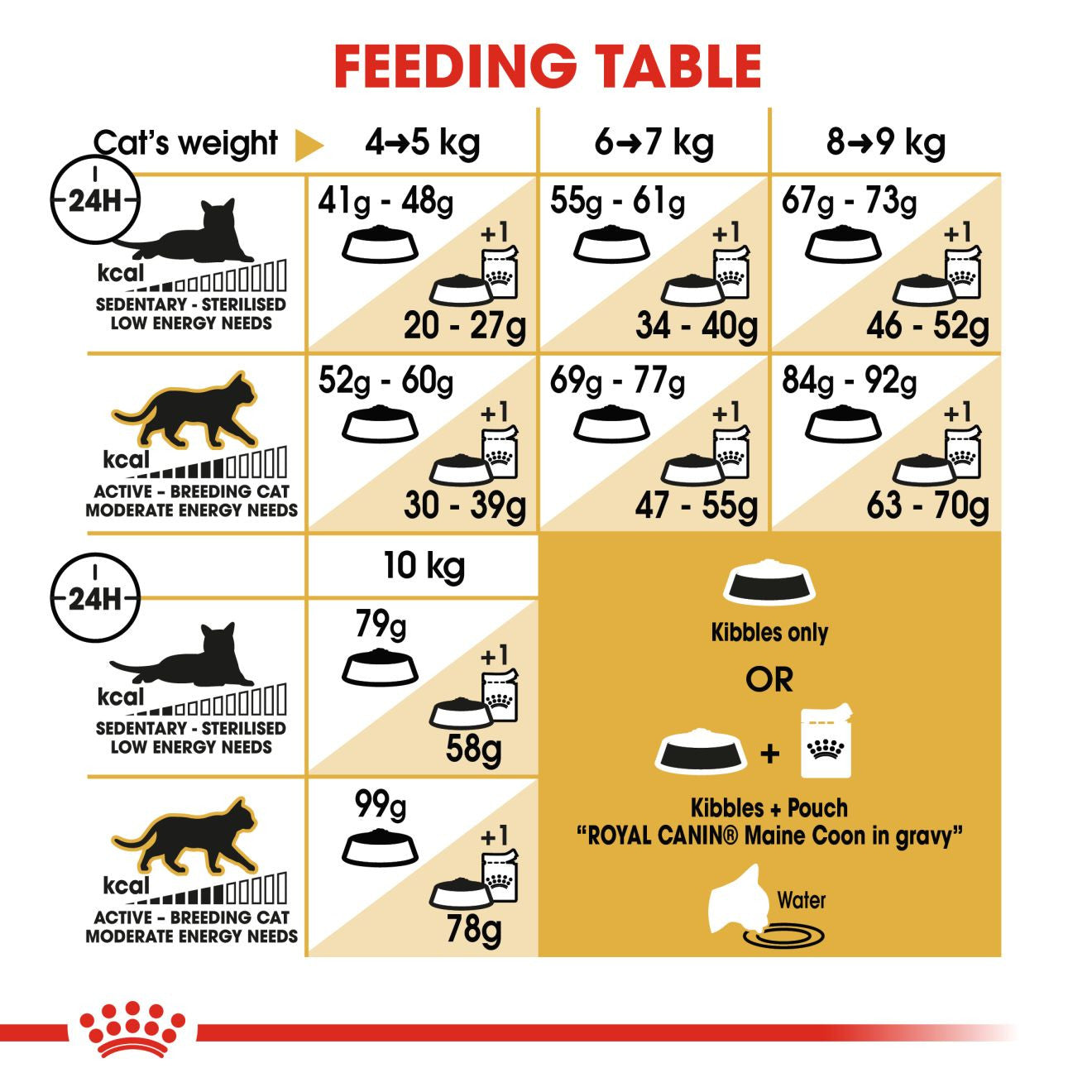 Royal Canin Breed Health Nutrition Maine Coon Adult Dry Cat Food