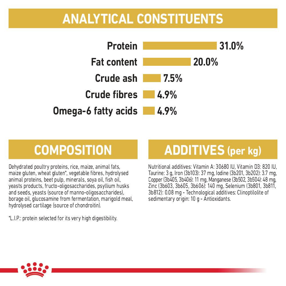 Royal Canin Breed Health Nutrition Maine Coon Adult Dry Cat Food