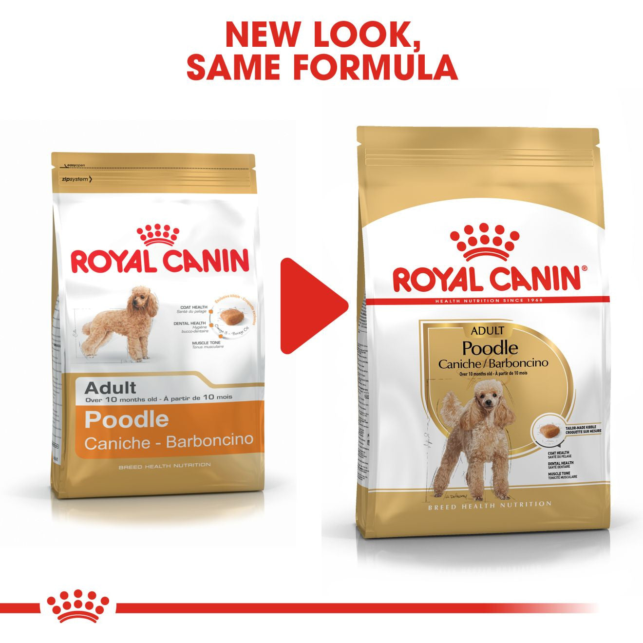 Royal Canin Breed Health Nutrition Poodle Adult Dry Dog Food