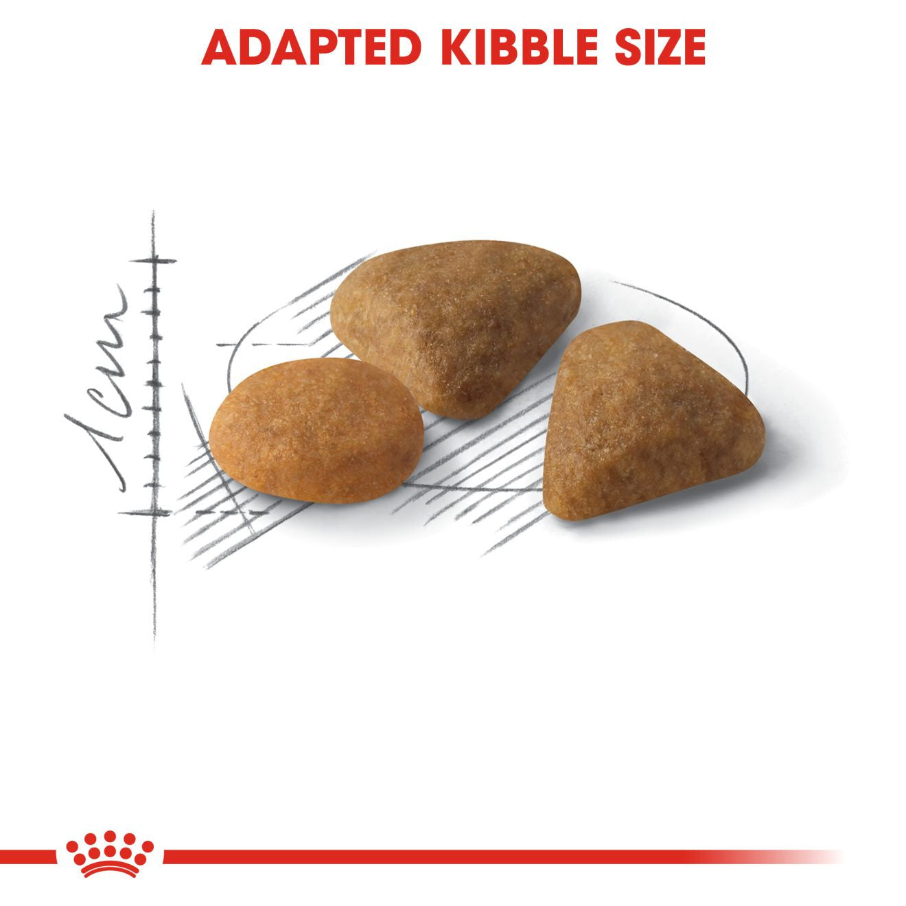 ROYAL CANIN Savour Exigent Dry Adult Cat Food