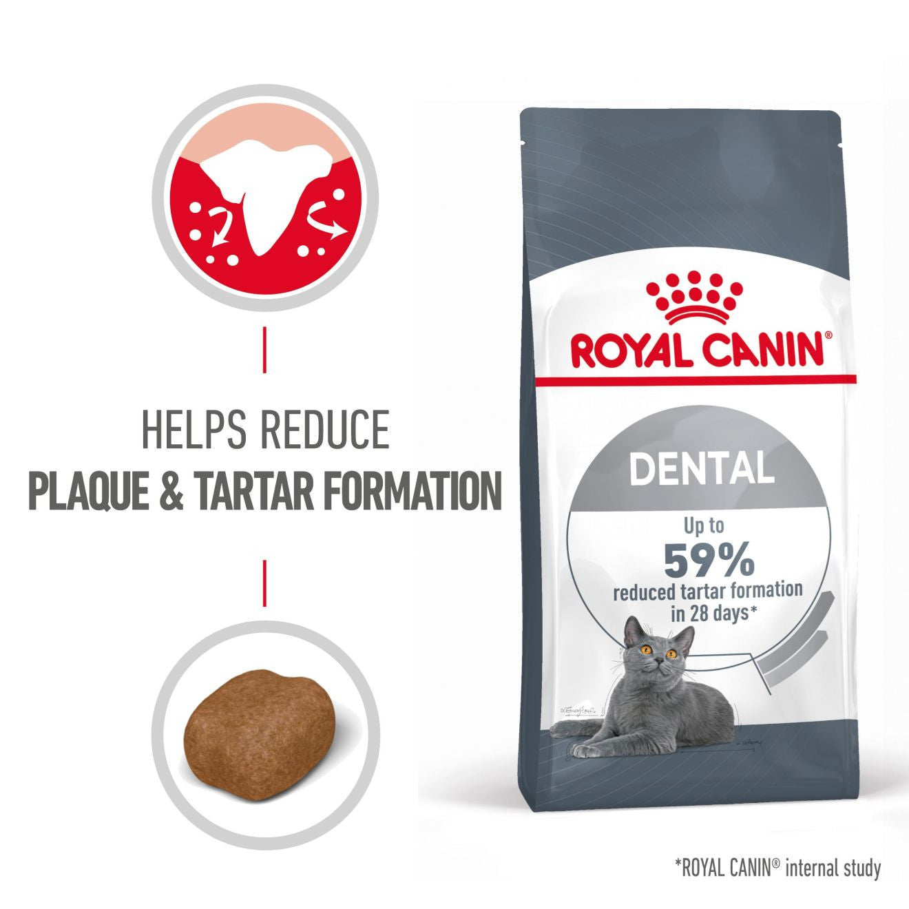 ROYAL CANIN Dental Care Adult Dry Cat Food