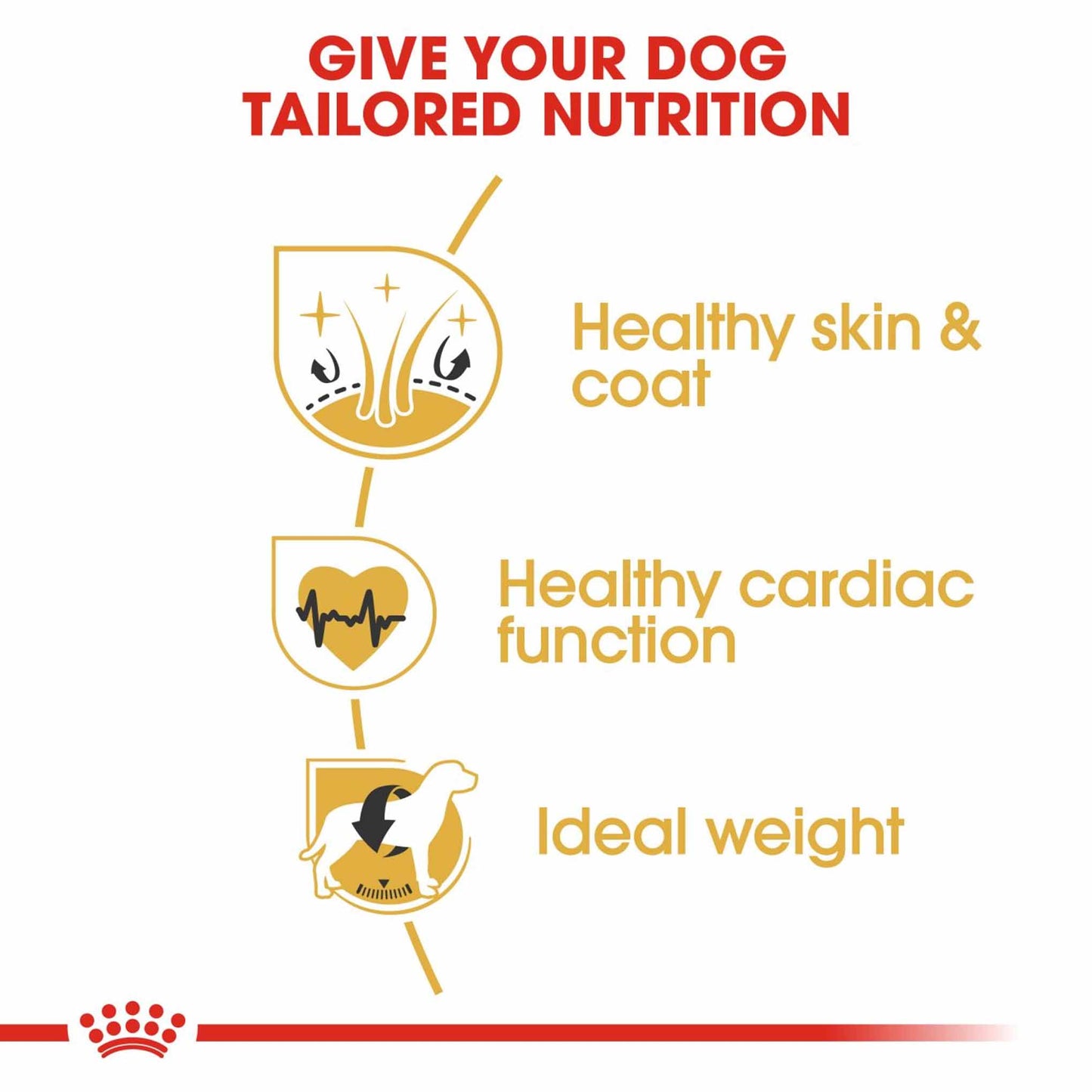 Royal Canin Breed Health Nutrition Golden Retriever Adult Dry Dog Food