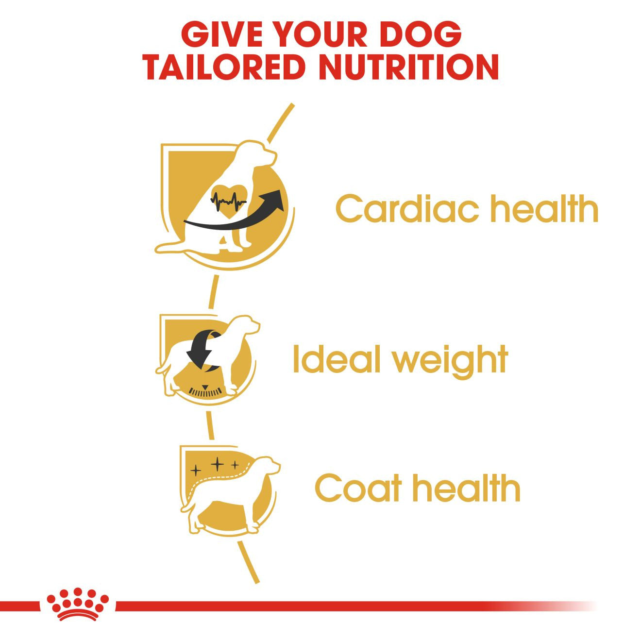 Royal Canin Breed Health Nutrition Cavalier King Charles Adult Dry Dog Food