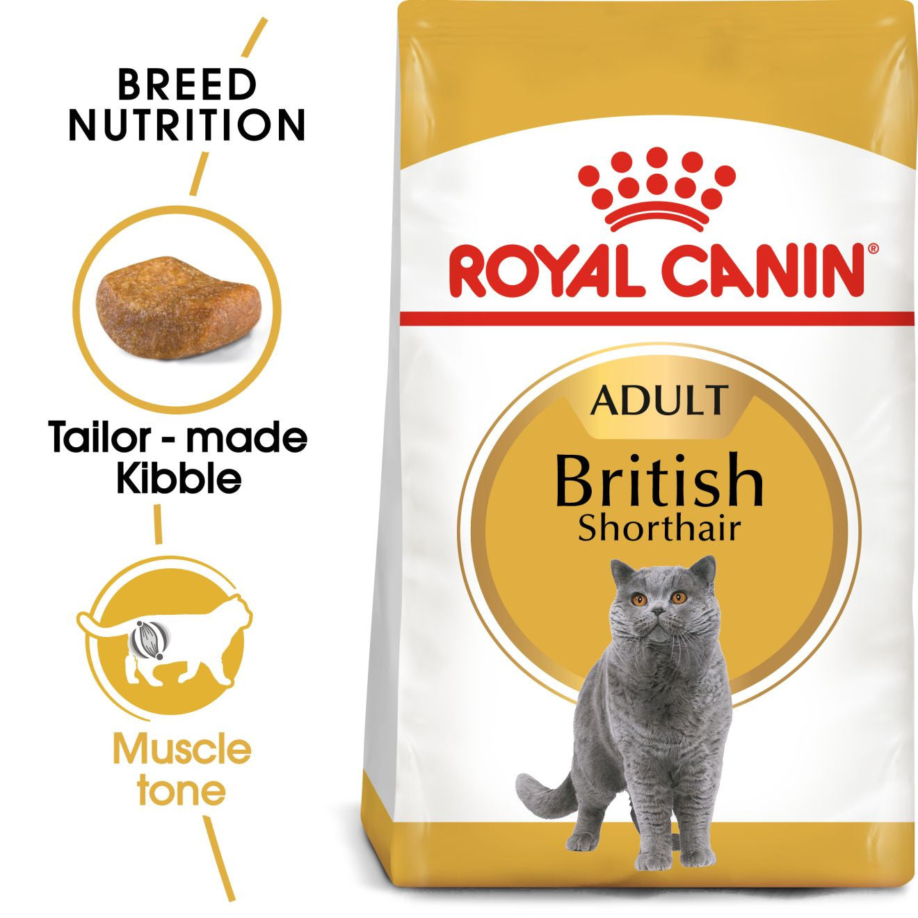 ROYAL CANIN British Shorthair Dry Adult Cat Food