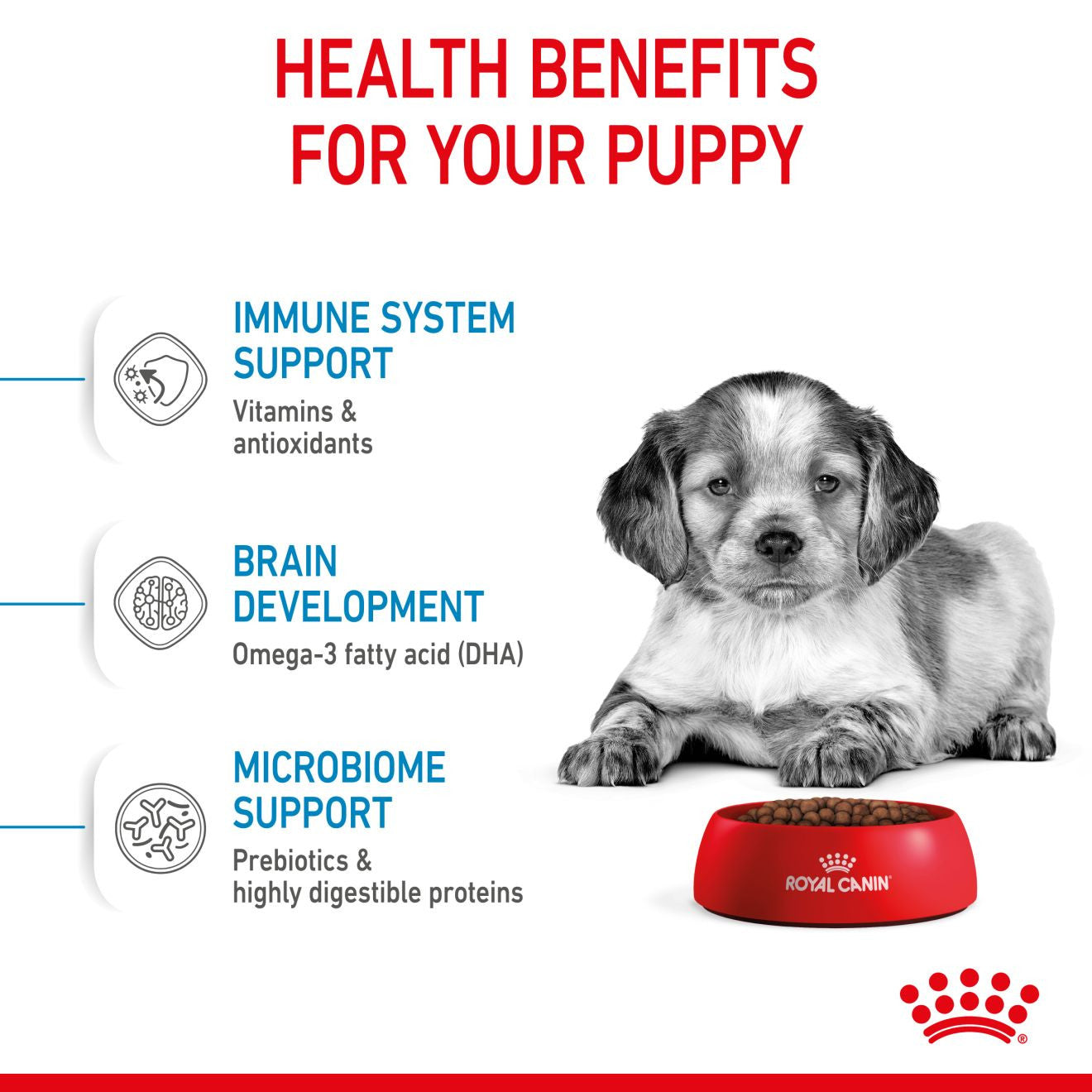 Royal Canin Size Health Nutrition Medium Puppy Dry Dog Food