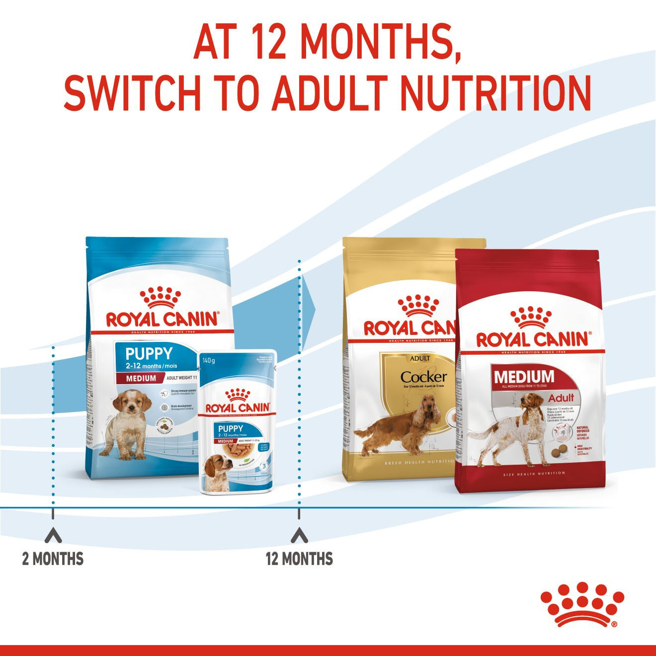 Royal Canin Size Health Nutrition Medium Puppy Dry Dog Food