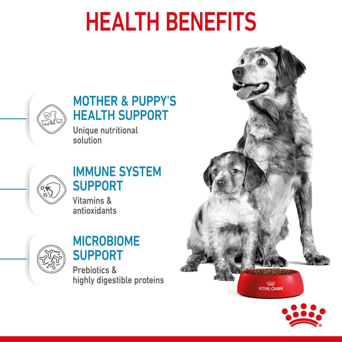 Royal Canin Size Health Nutrition Medium Starter Mother and Baby Dry Dog Food