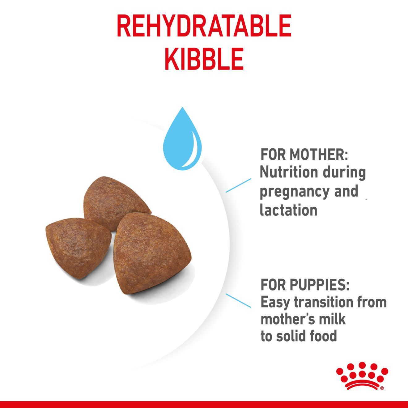 Royal Canin Size Health Nutrition Medium Starter Mother and Baby Dry Dog Food