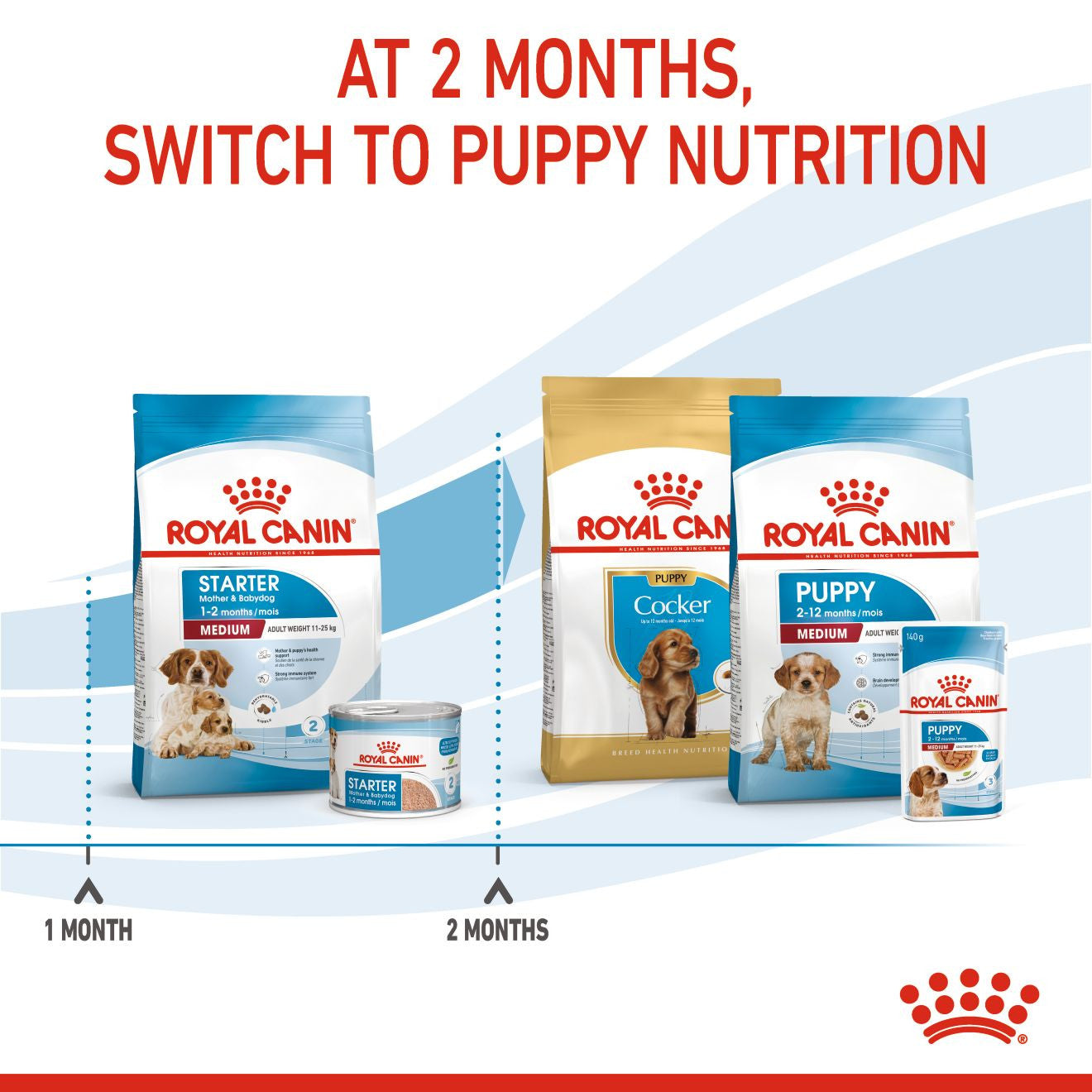 Royal Canin Size Health Nutrition Medium Starter Mother and Baby Dry Dog Food