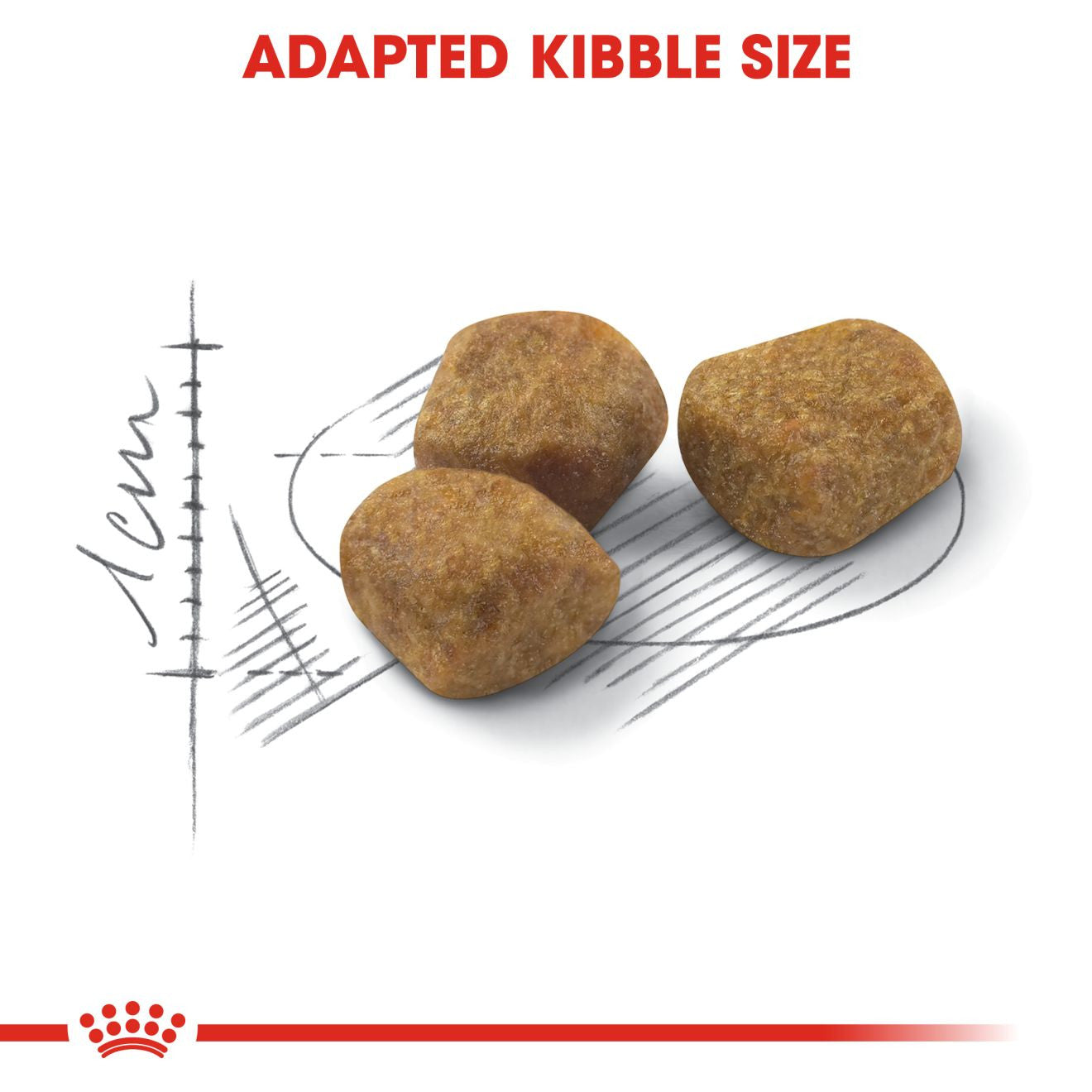 ROYAL CANIN Indoor 7+ Dry Adult Cat Food