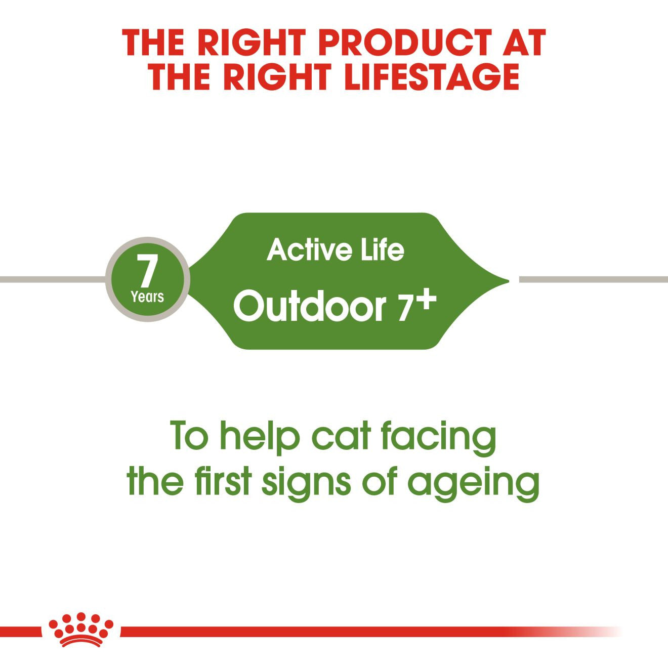 ROYAL CANIN Outdoor 7+ Dry Adult Cat Food