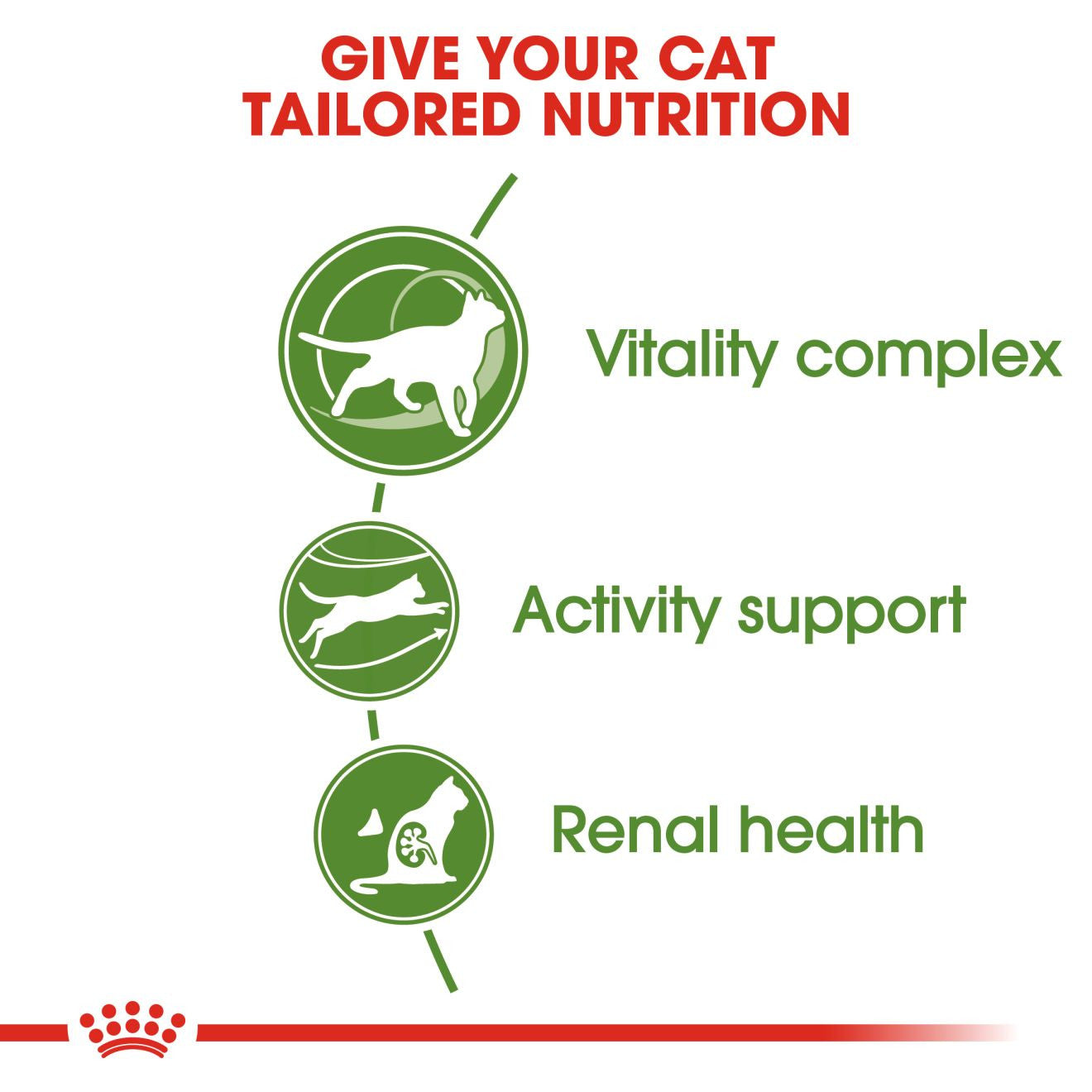 ROYAL CANIN Outdoor 7+ Dry Adult Cat Food