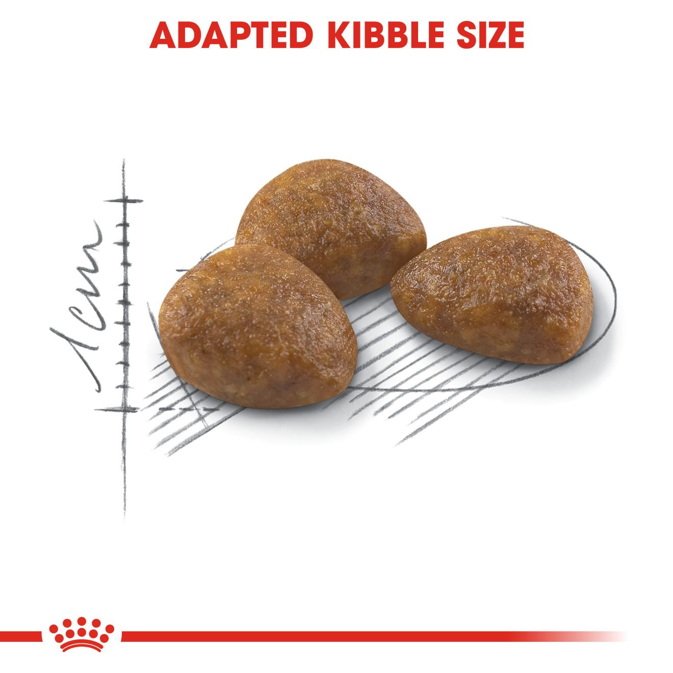 ROYAL CANIN Outdoor 7+ Dry Adult Cat Food